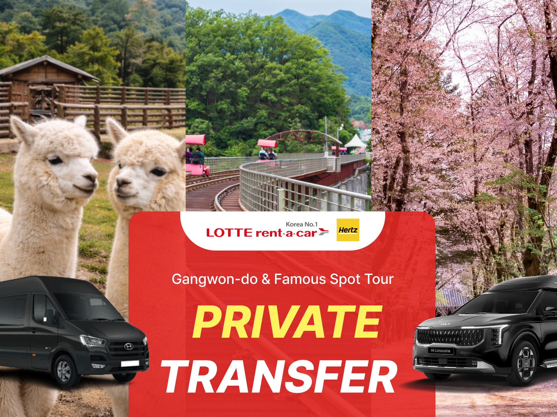 Best of Gangwon-do: Nami Island & Alpaca World Private Car Charter
