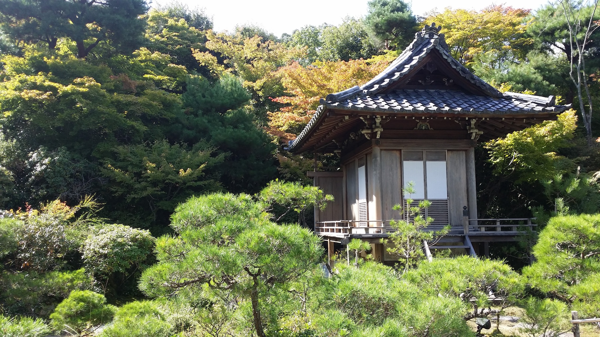 Kyoto: Immersive Arashiyama and Fushimi Inari by private vehicle