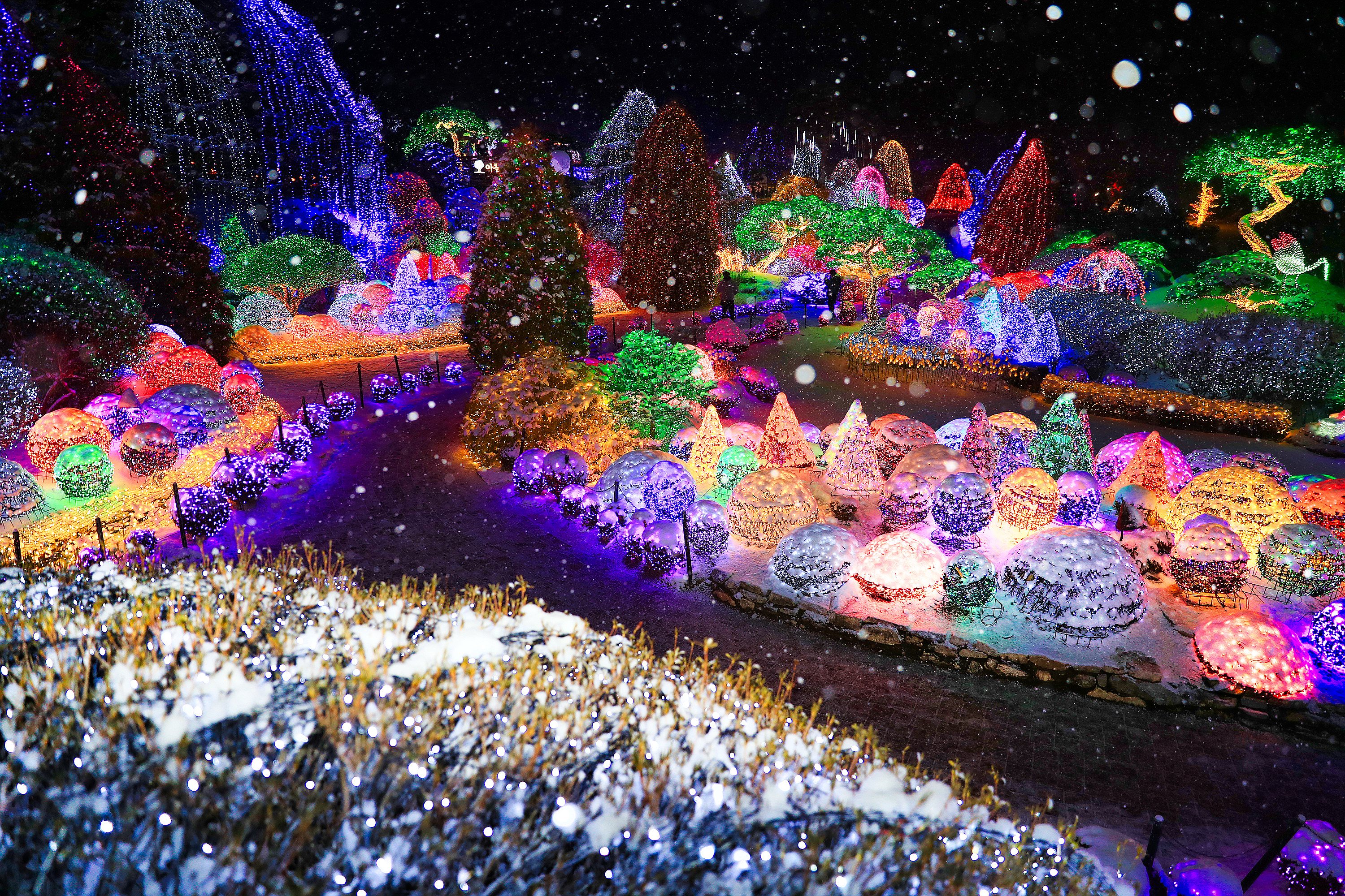 在白雪皚皚的小徑上漫步，盡情享受冬季大自然的寧靜氛圍。