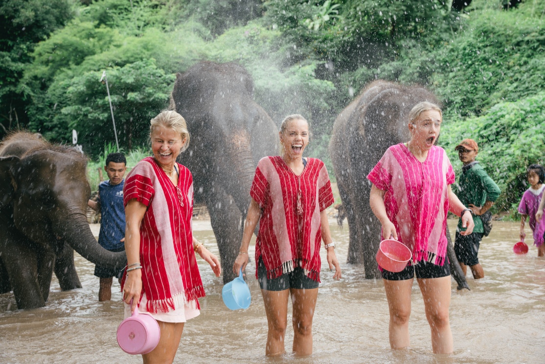 在您幫助大象洗澡和清潔時，請準備好被淋溼！