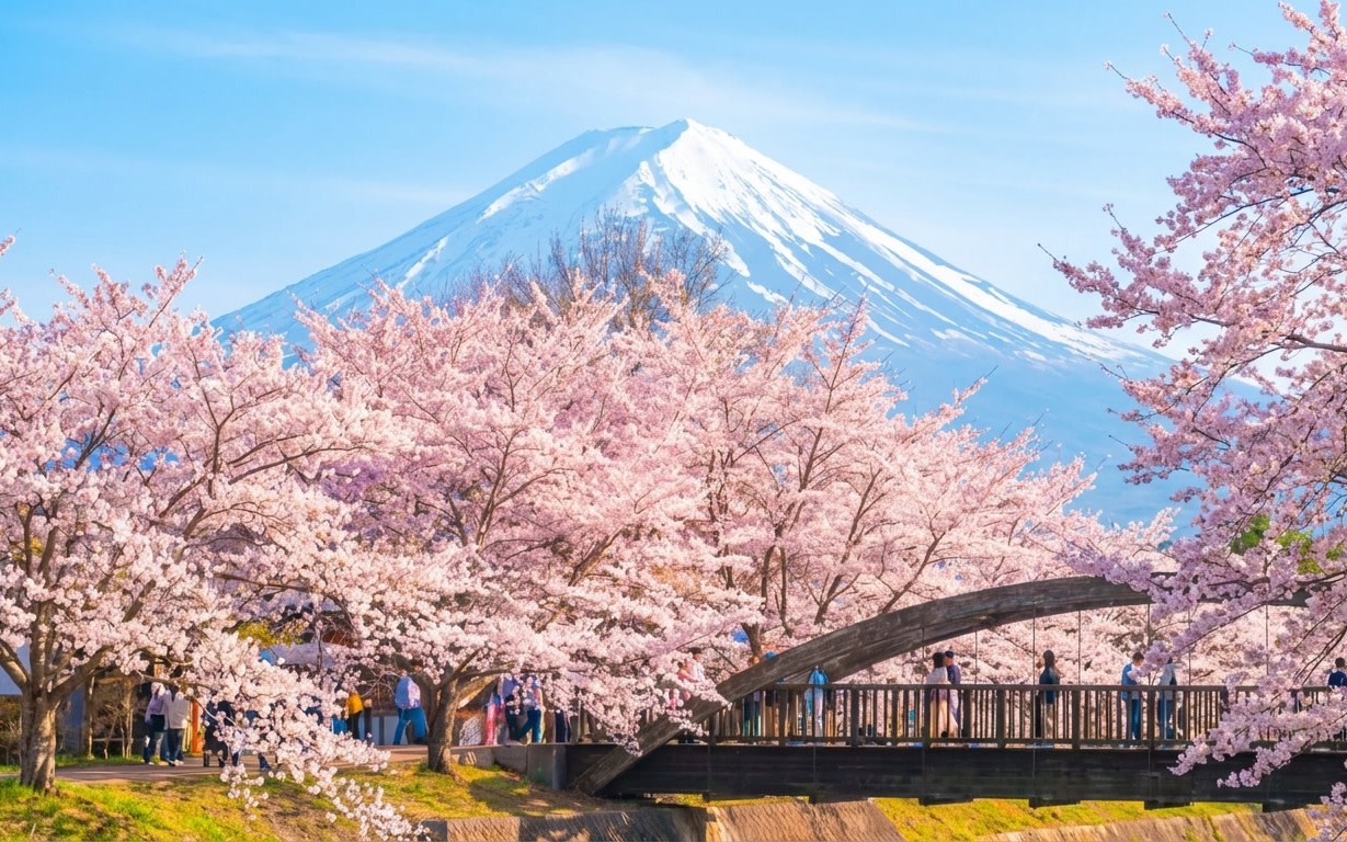 The Essential Fuji Tour: Visit 6 Most-Rated Scenic Spots in One Day