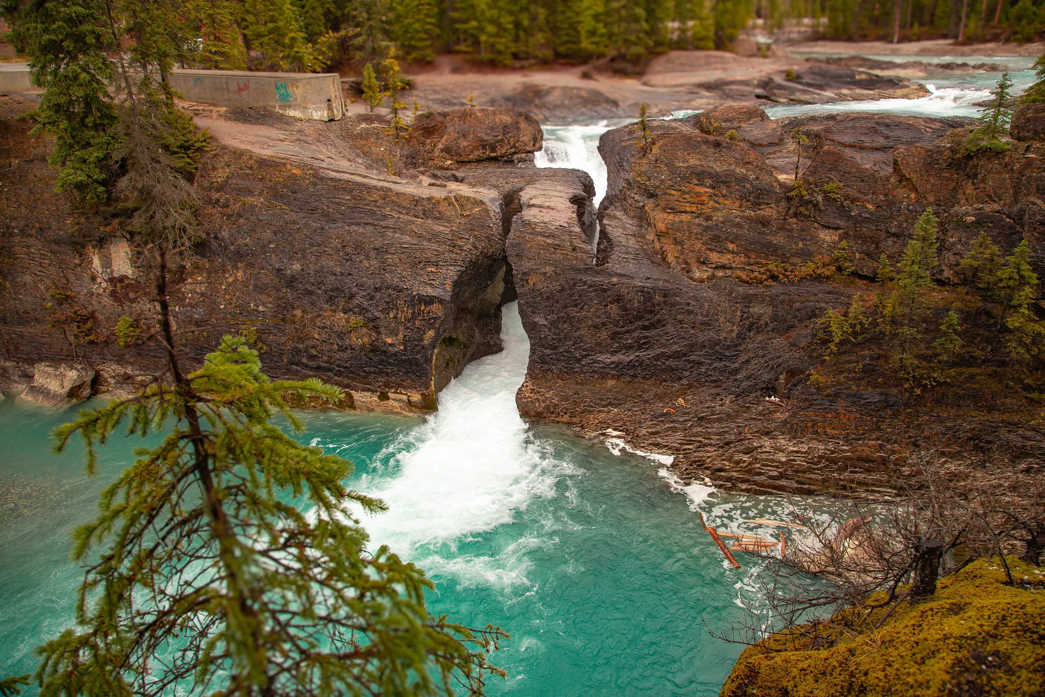 The Natural Bridge in Yoho National Park