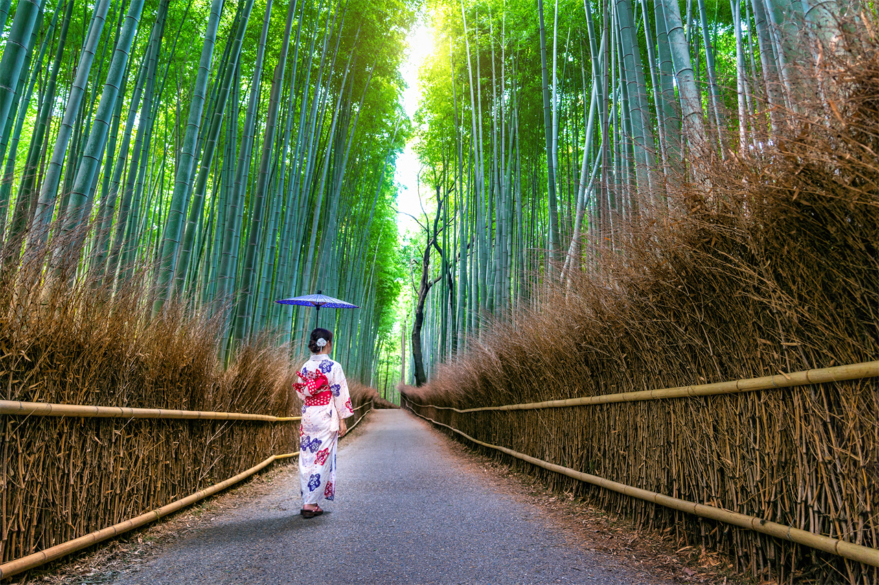 京都·嵐山·奈良｜嵯峨野小火車·竹林小徑·友禪光林·奈良公園·伏見稻荷大社·吉伊卡哇本鋪打卡一日遊｜大阪出發