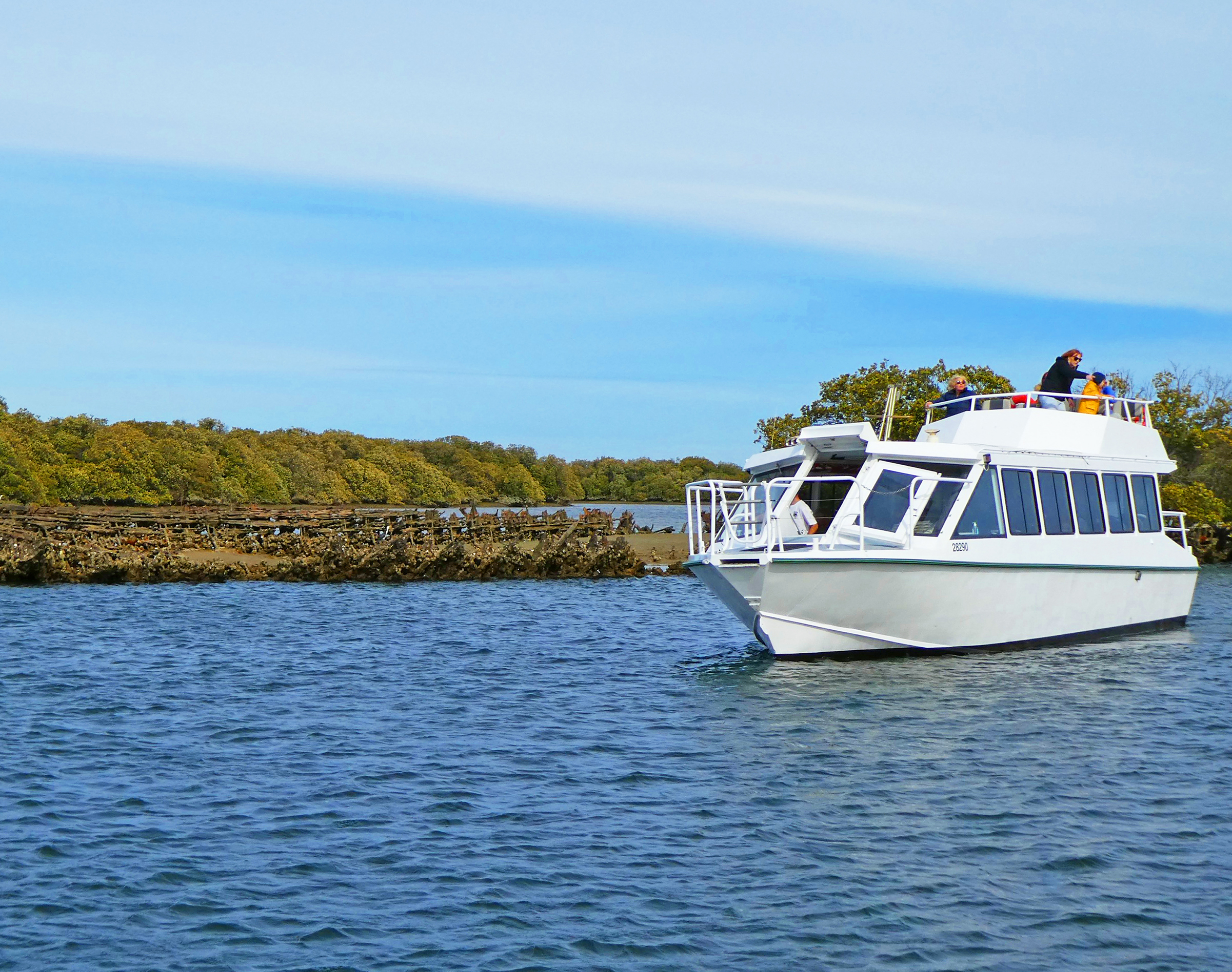 Port River Dolphin & Ships Graveyard Cruise from Port Adelaide