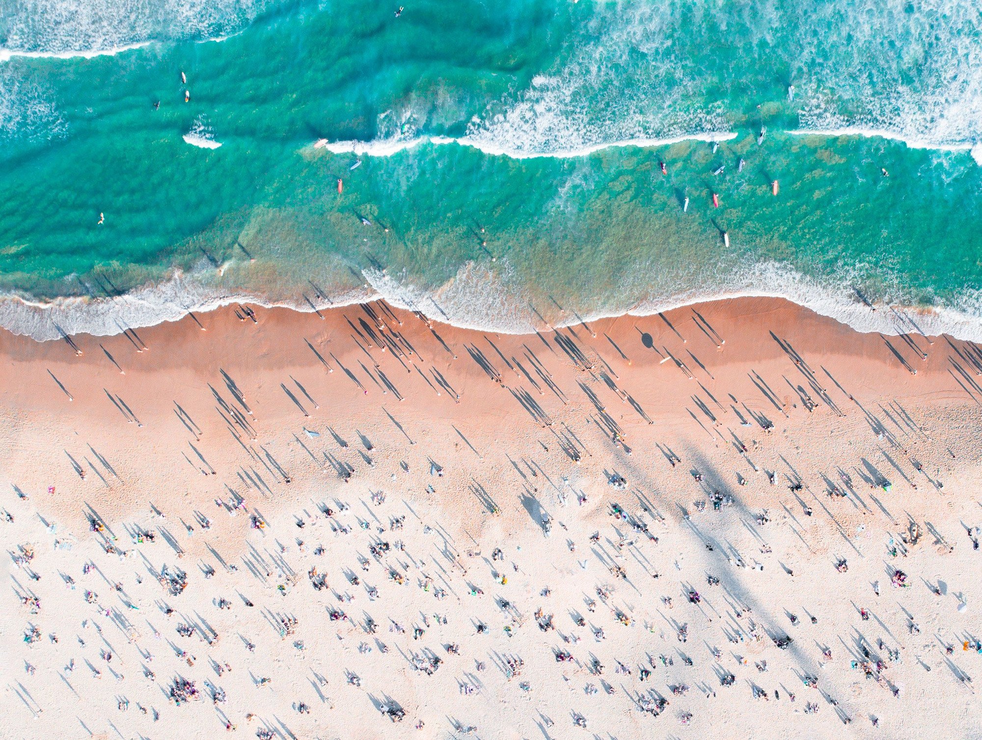 2 Hours Bondi Offshore Express Cruise