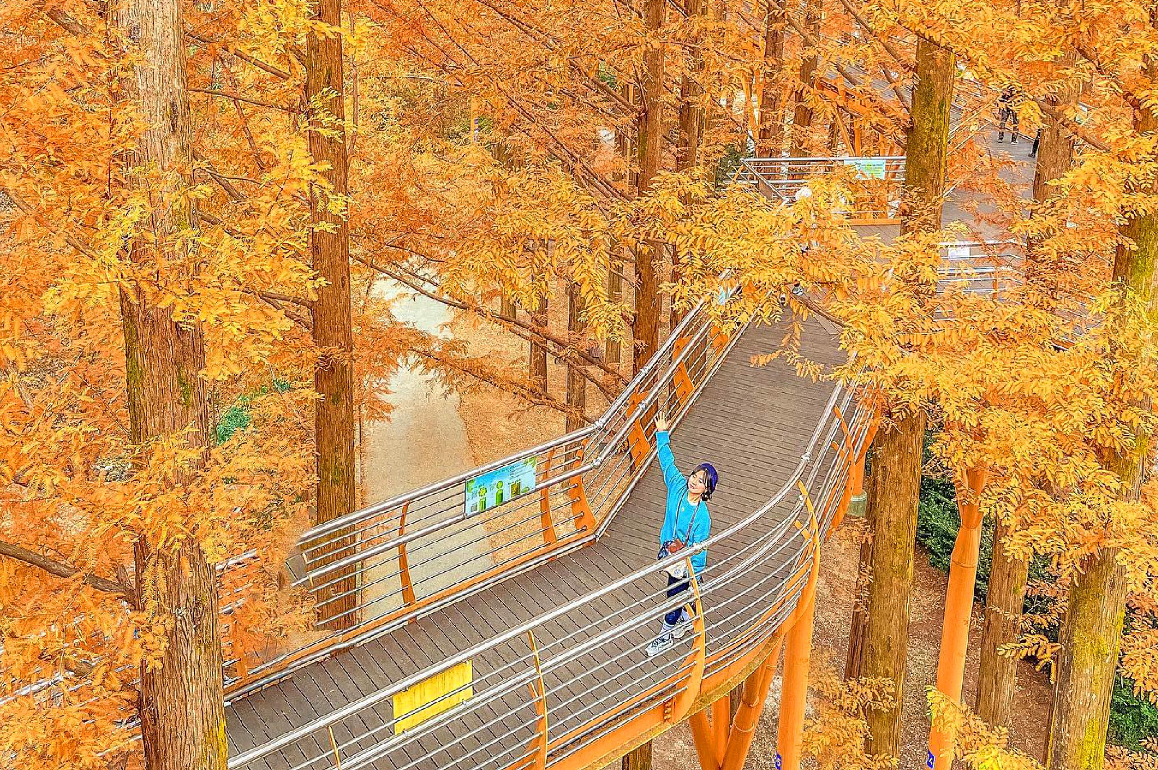全州韓屋村＆季節性熱門景點一日遊