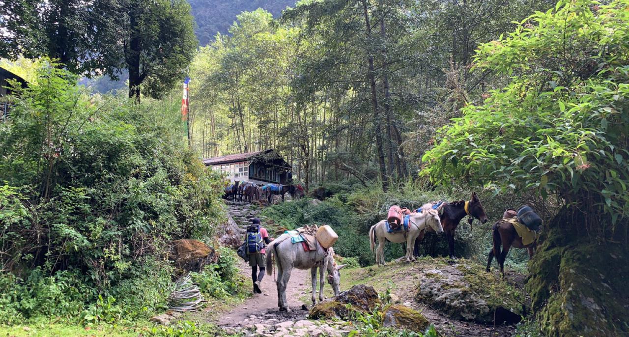 Medium of transport for langtang area 