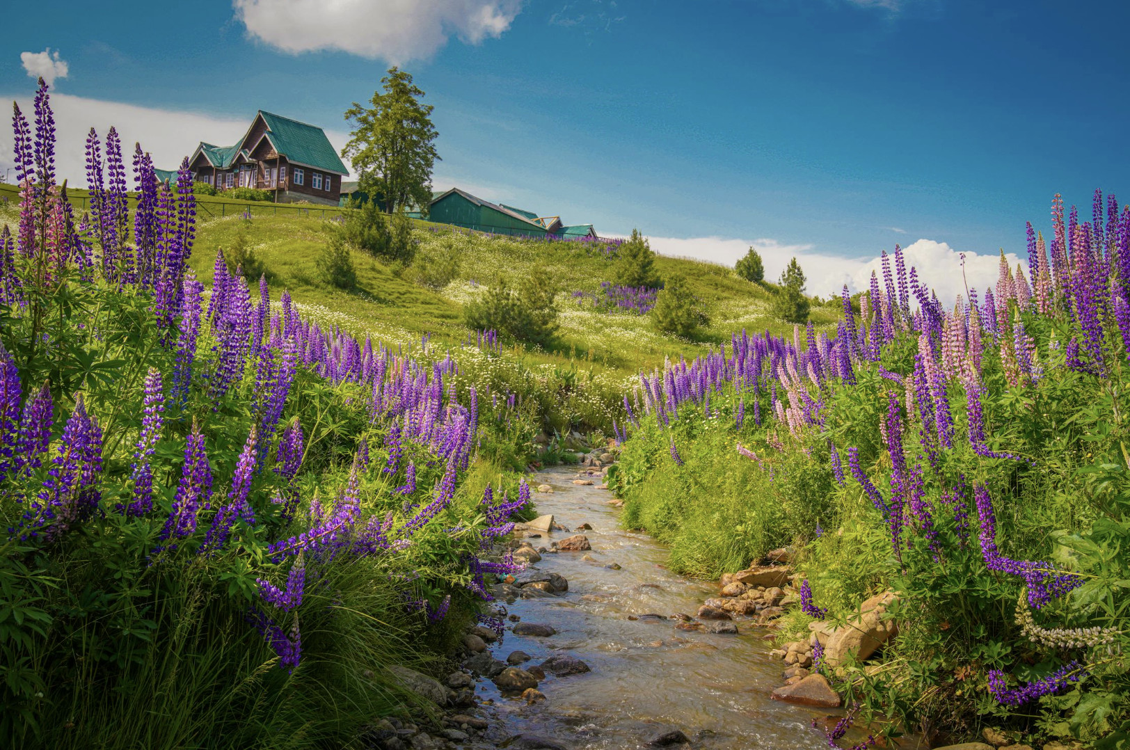 4-Day Private Guided Kashmir Tour: Srinagar, Gulmarg & Pahalgam