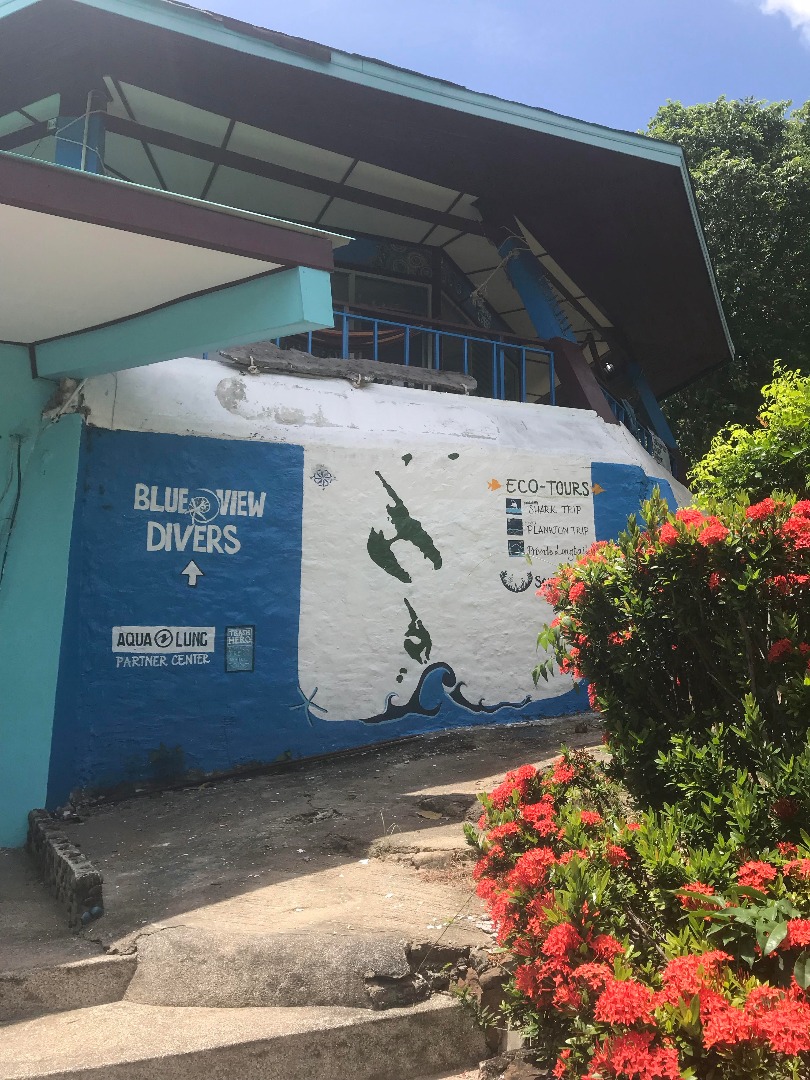 Blue View Diver Office