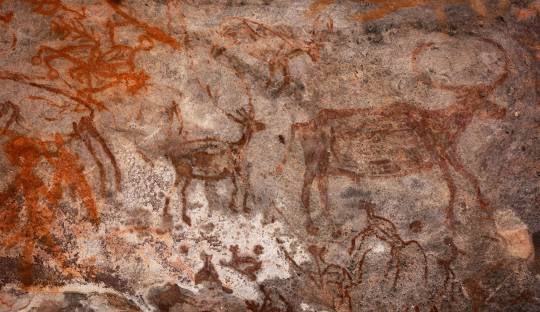 Day Trip to Bhimbetka from Bhopal
