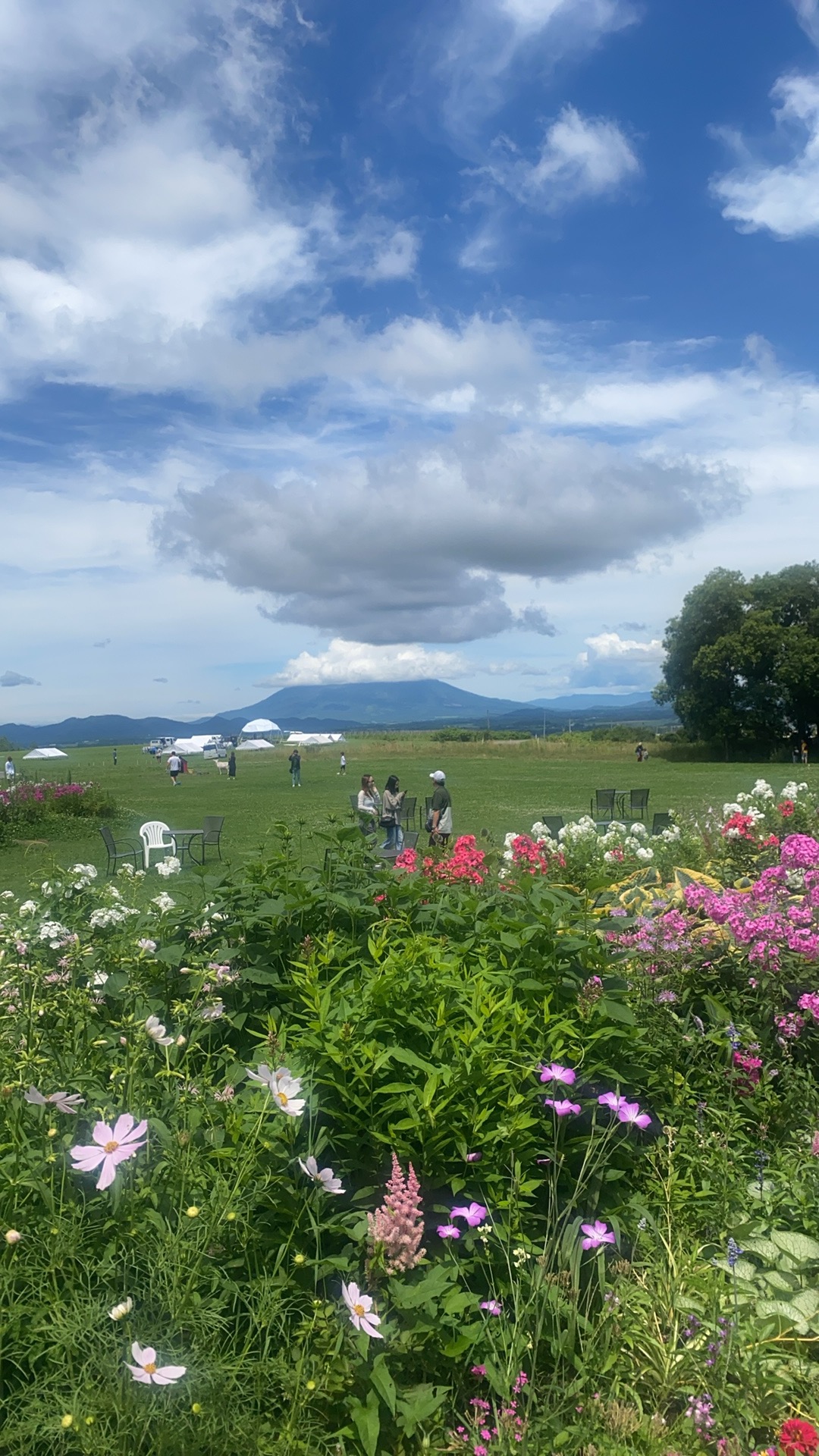 【北海道小富士山登別一日遊】小富士羊蹄山&洞爺湖展望臺&Lake Hill Farm&熊牧場&登別地獄谷一日遊（贈送冰淇淋）