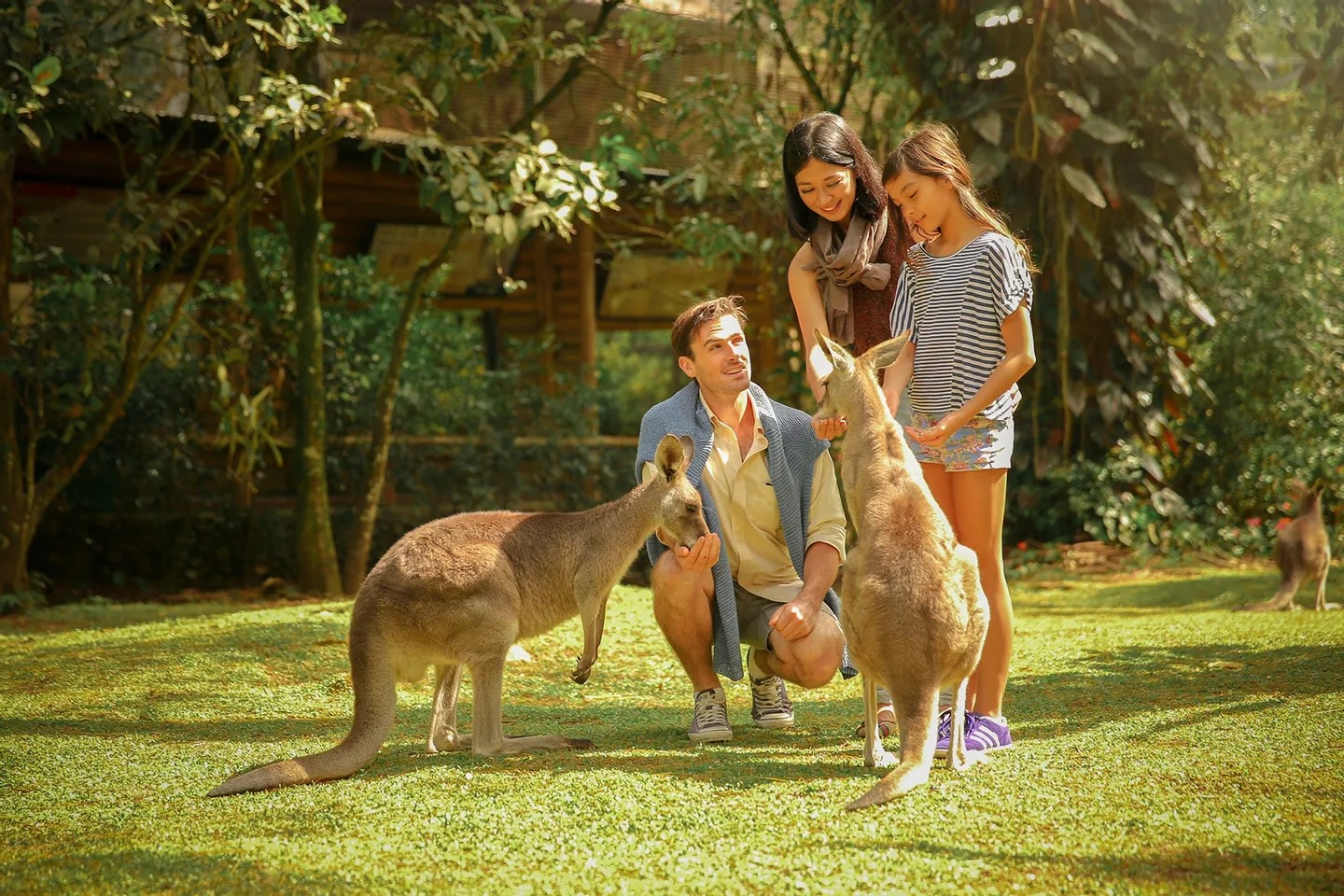 Taman Safari Indonesia Bogor Ticket