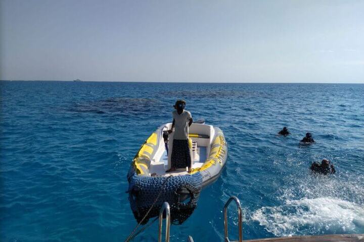 薩塔亞海豚屋過夜之旅 (Port ghalib : Sataya Dolphin House Overnight)
