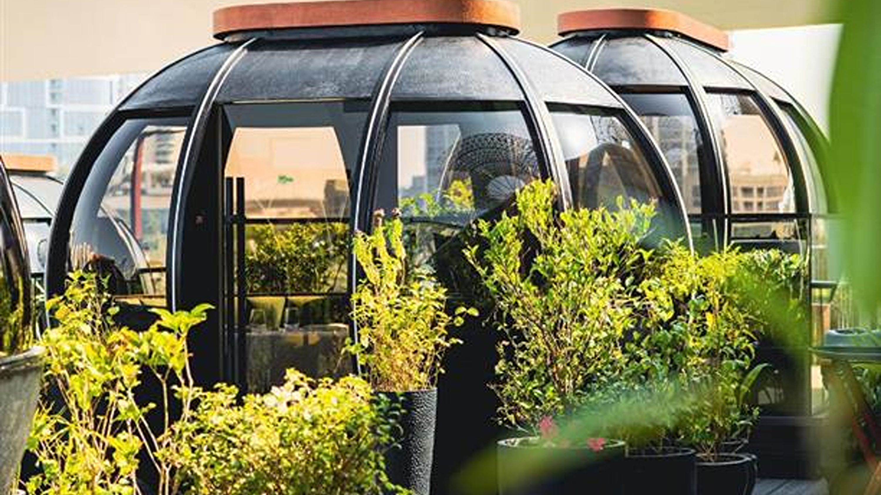 The Pods Dubai Dining Experience