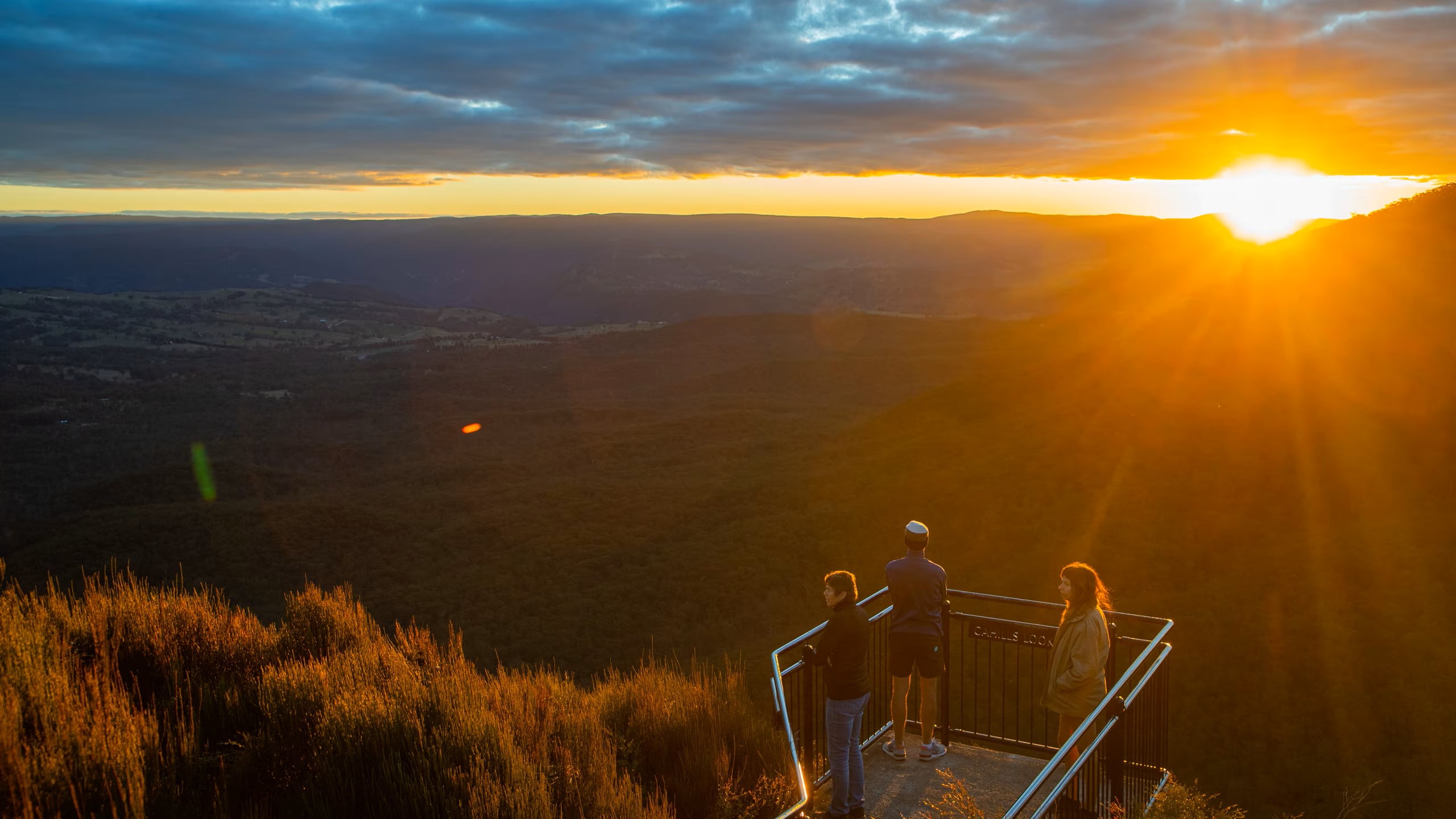 Australian Wildlife, Blue Mountains & Scenic World Private Tour