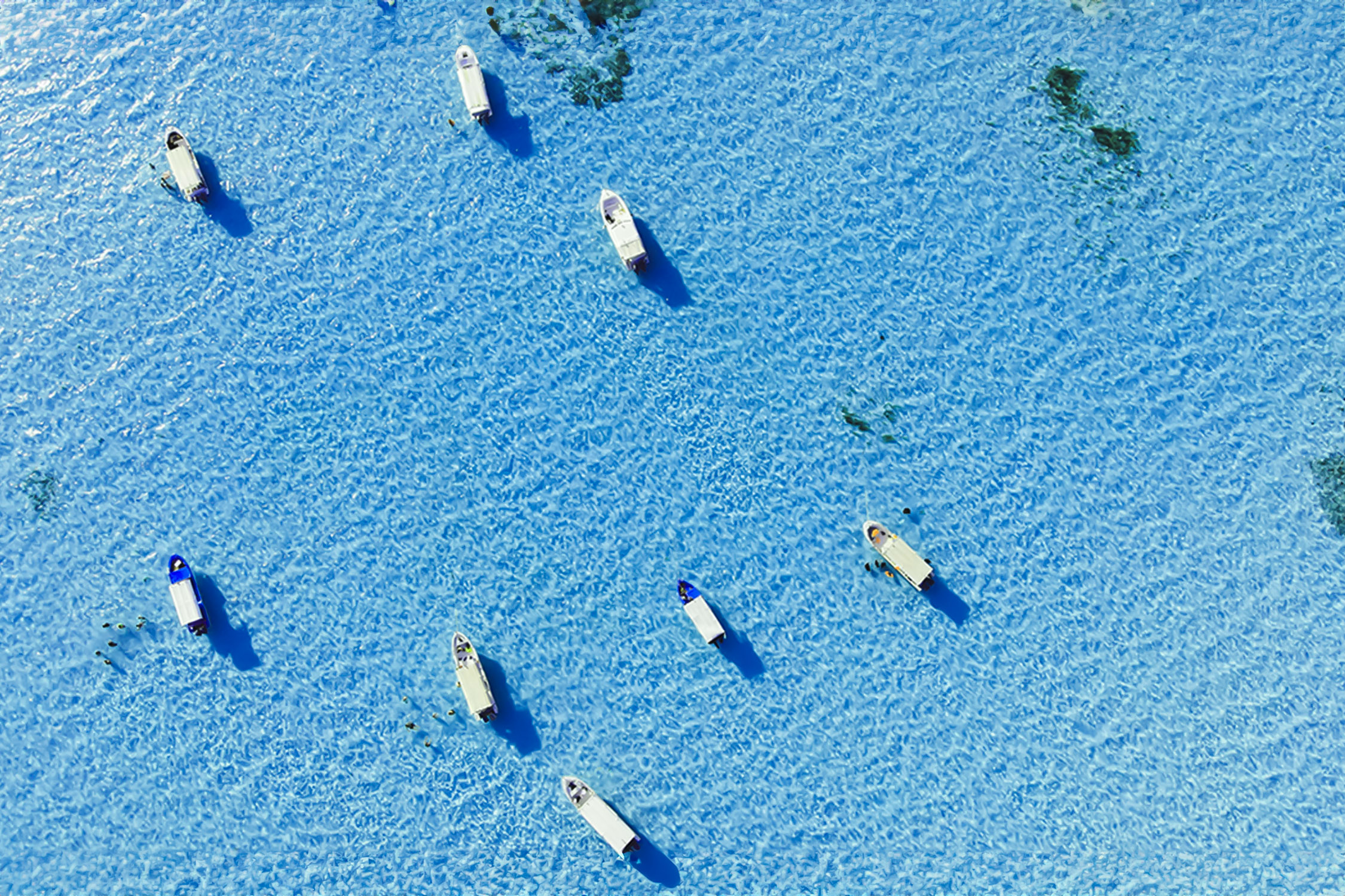 Fishing experience in Jeddah 