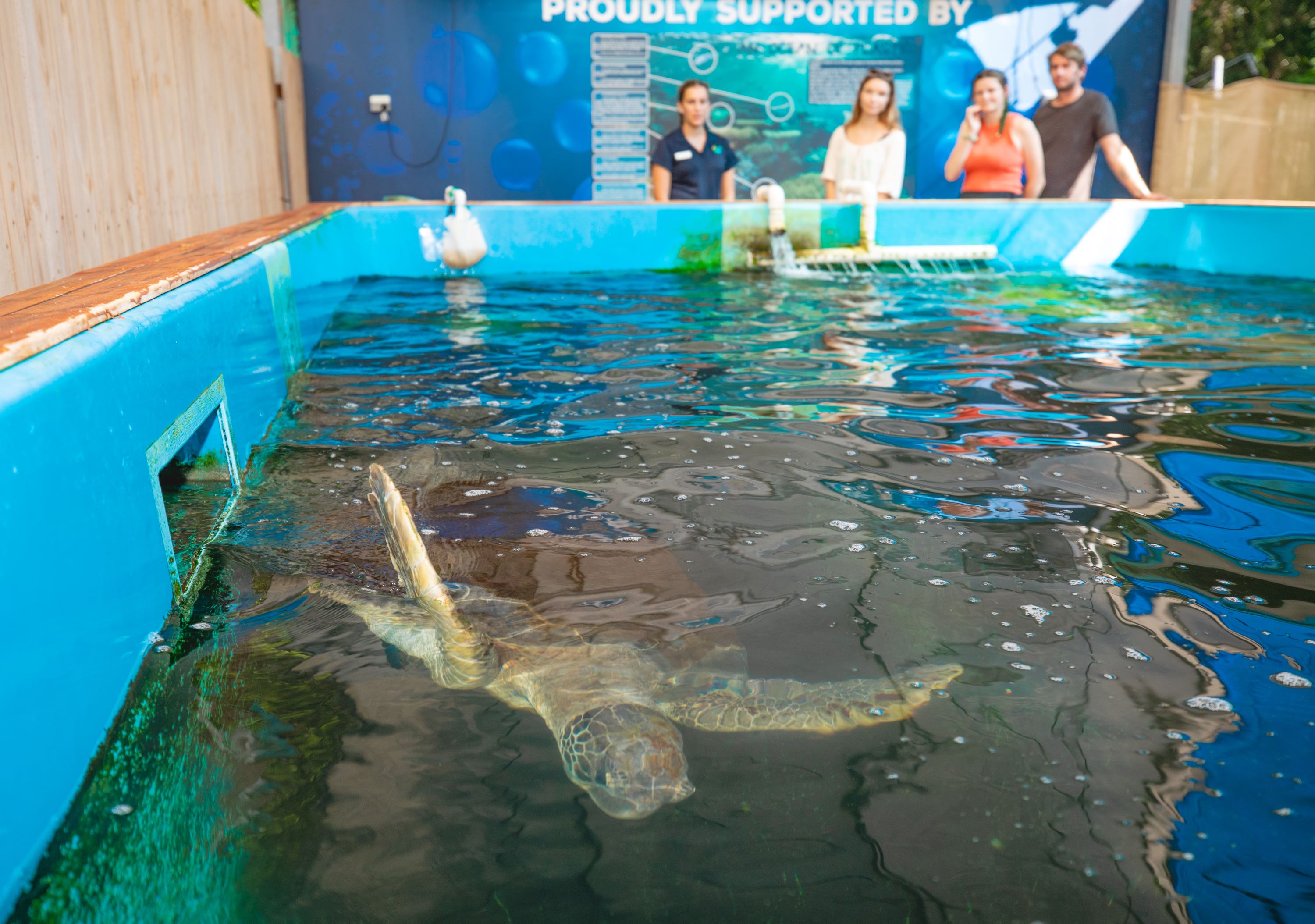 Fitzroy Island Day Trip from Cairns