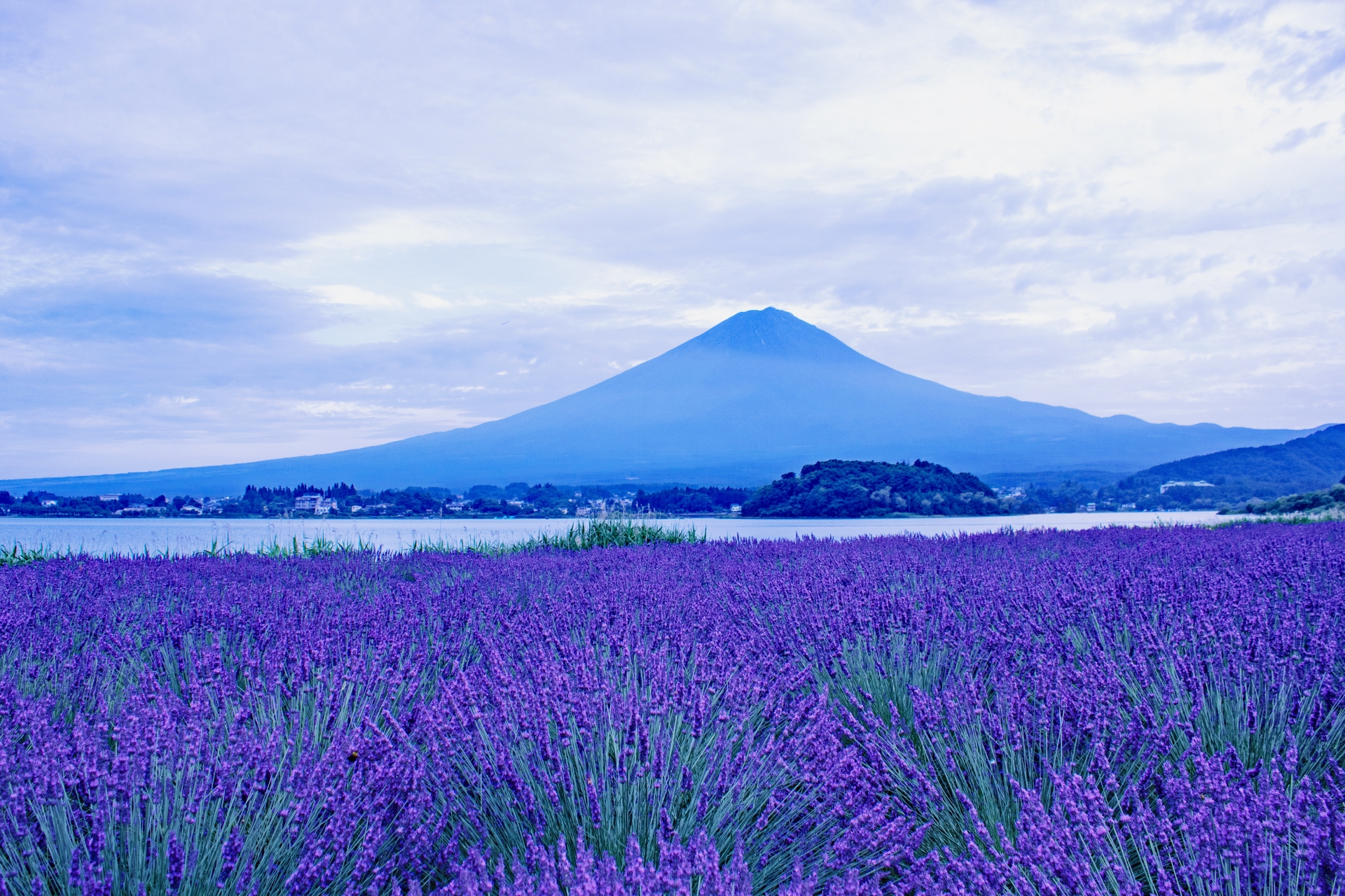 One-day tour of Mt. Fuji and Lake Kawaguchi, Arakurayama Sengen Park, Lake Kawaguchi, Oishi Park, Saiko Healing Center