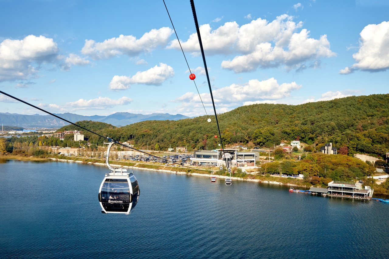 南怡島 (Nami Island)（快艇）/羊駝/鐵路自行車/晨靜樹木園 (Morning Calm) 私人旅遊