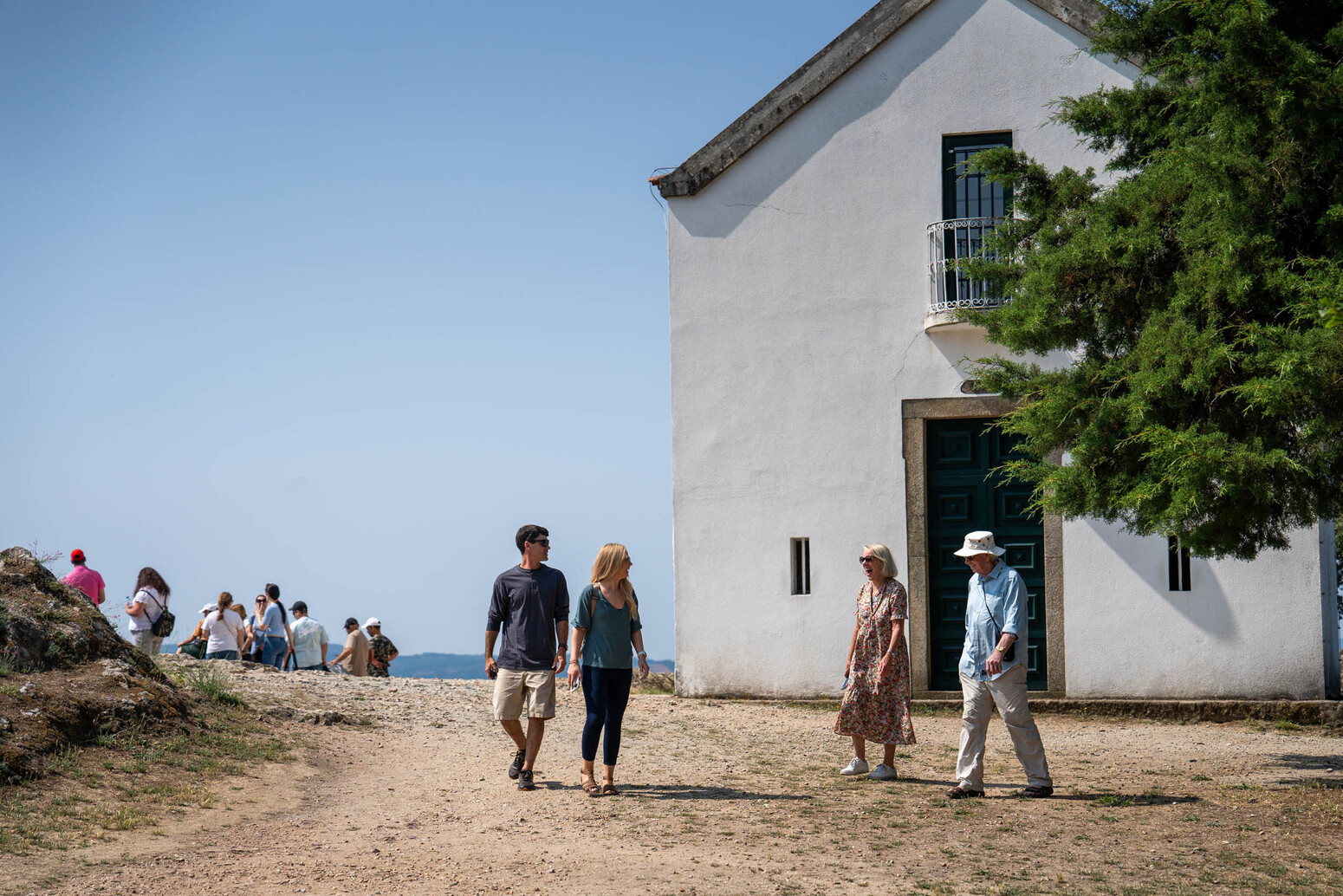 Douro Valley Wine & History Tour with Cruise & Lunch