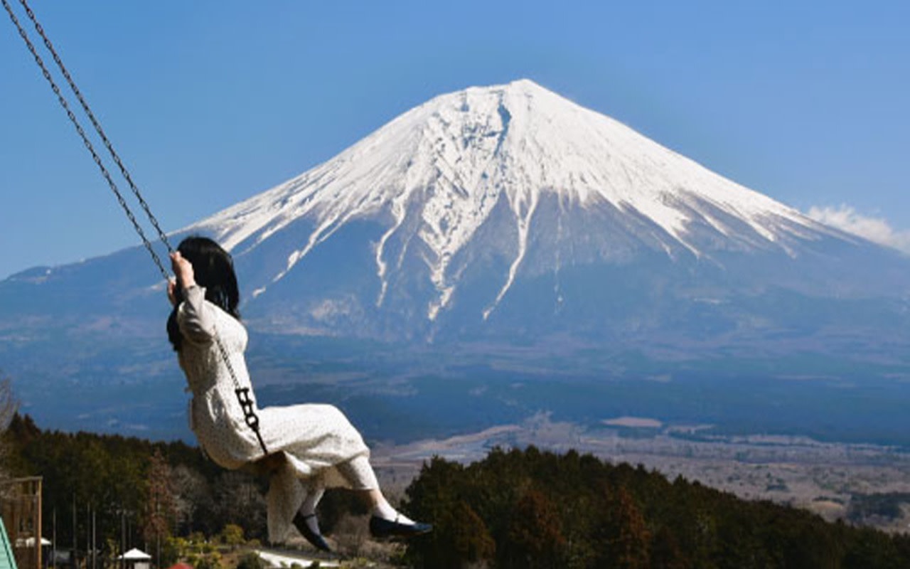 One-Day Tour to the Secret Flower Fields of Mount Fuji | Oishi Park × Motosuko Rainbow Flower Festival / Saiko Iyashi no Sato Nenba × Popular Makaino Farm × Lawson Photo Shoot (Departure from Tokyo)