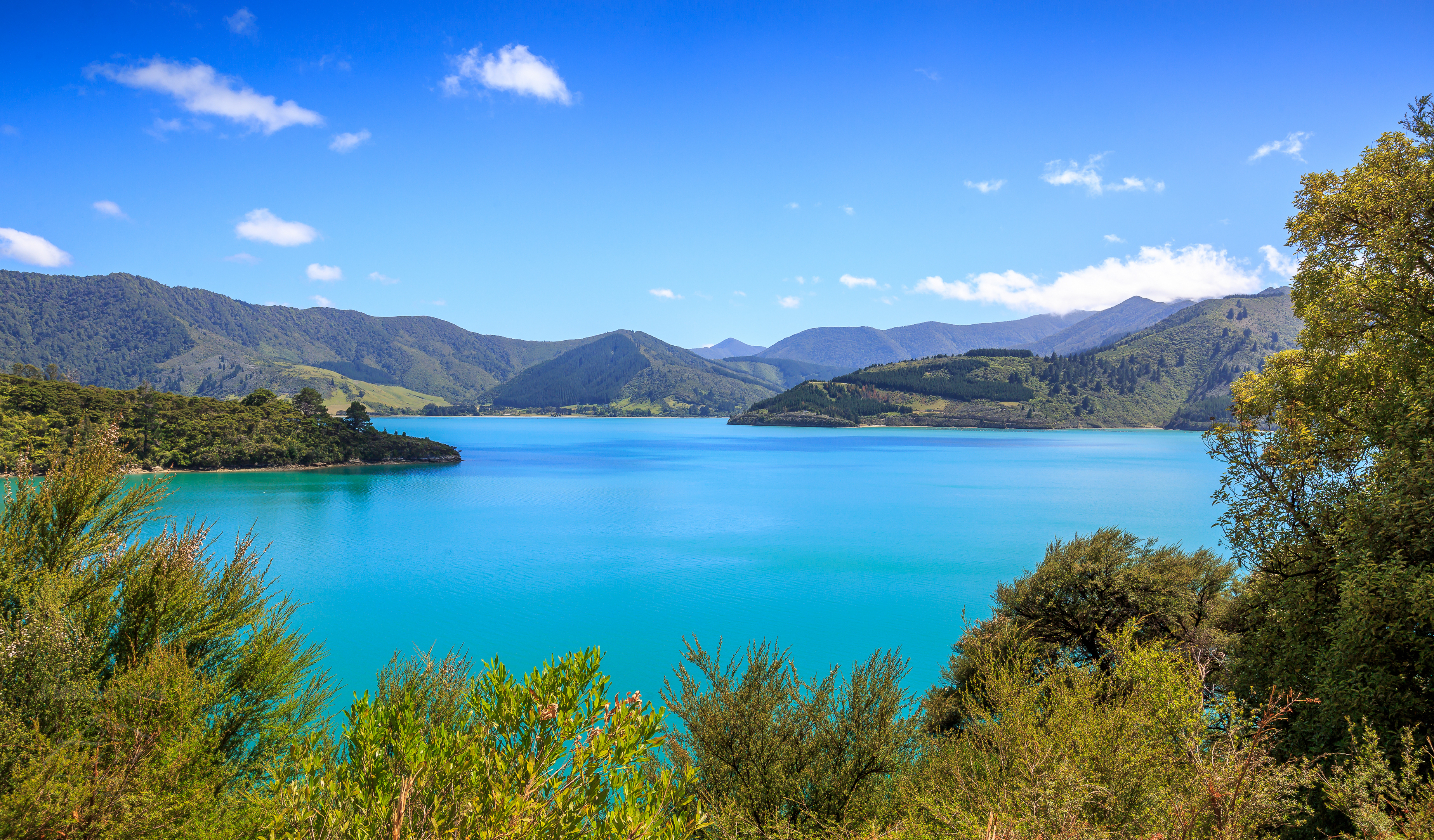 Nelson Full & Half Day Transfer Tours