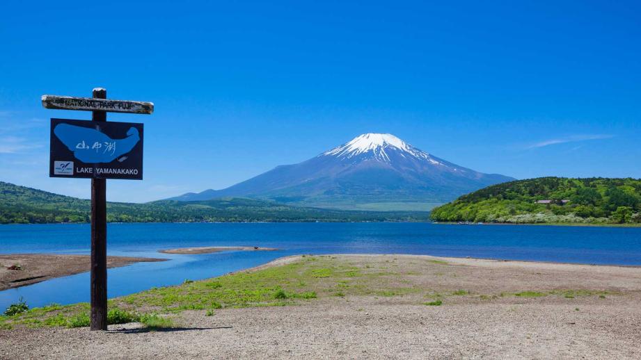 山中湖平野之濱視野開闊，可遠眺富士山倒映於湖面的壯麗景色。
湖畔環境清幽，設有散步道與休憩空間，是親近自然的理想去處。