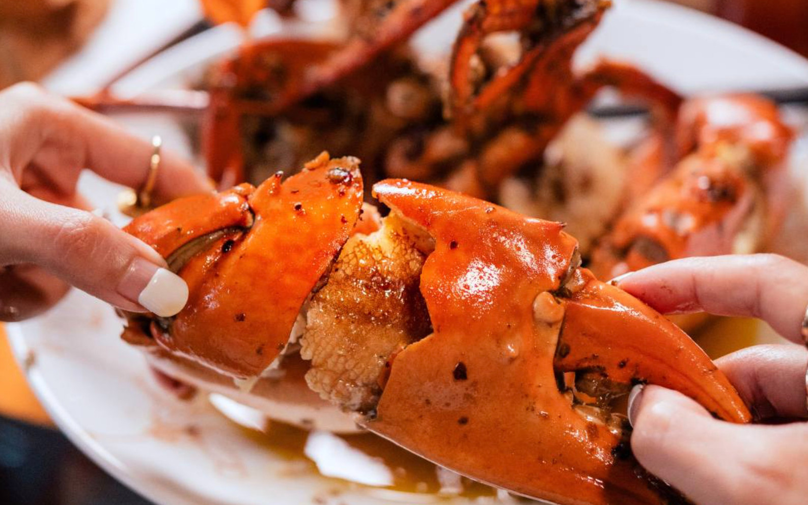 Seafood at Ministry Of Crab Bangkok