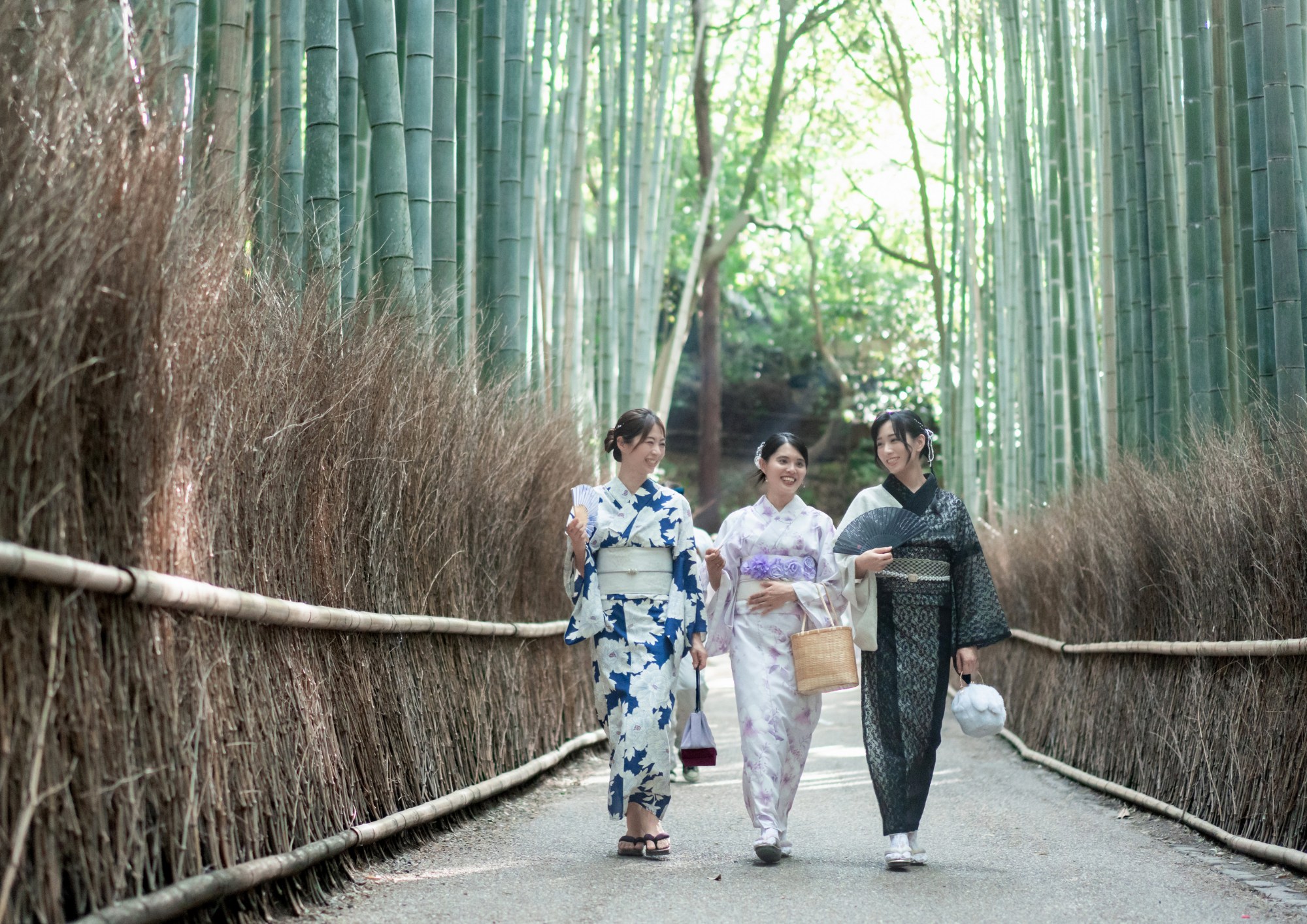 【竹林】嵐山的竹林是京都首屈一指的人氣觀光景點,高聳入天的竹子整齊排列,景色優美。特別是與和服的搭配效果極佳,綠色的竹子與和服的對比在社群媒體上也非常受歡迎,非常上鏡。 【竹林】嵐山的竹林是京都首屈一指的人氣觀光景點,高聳入天的竹子整齊排列,景色優美。特別是與和服的搭配效果極佳,綠色的竹子與和服的對比在社群媒體上也非常受歡迎,非常上鏡。