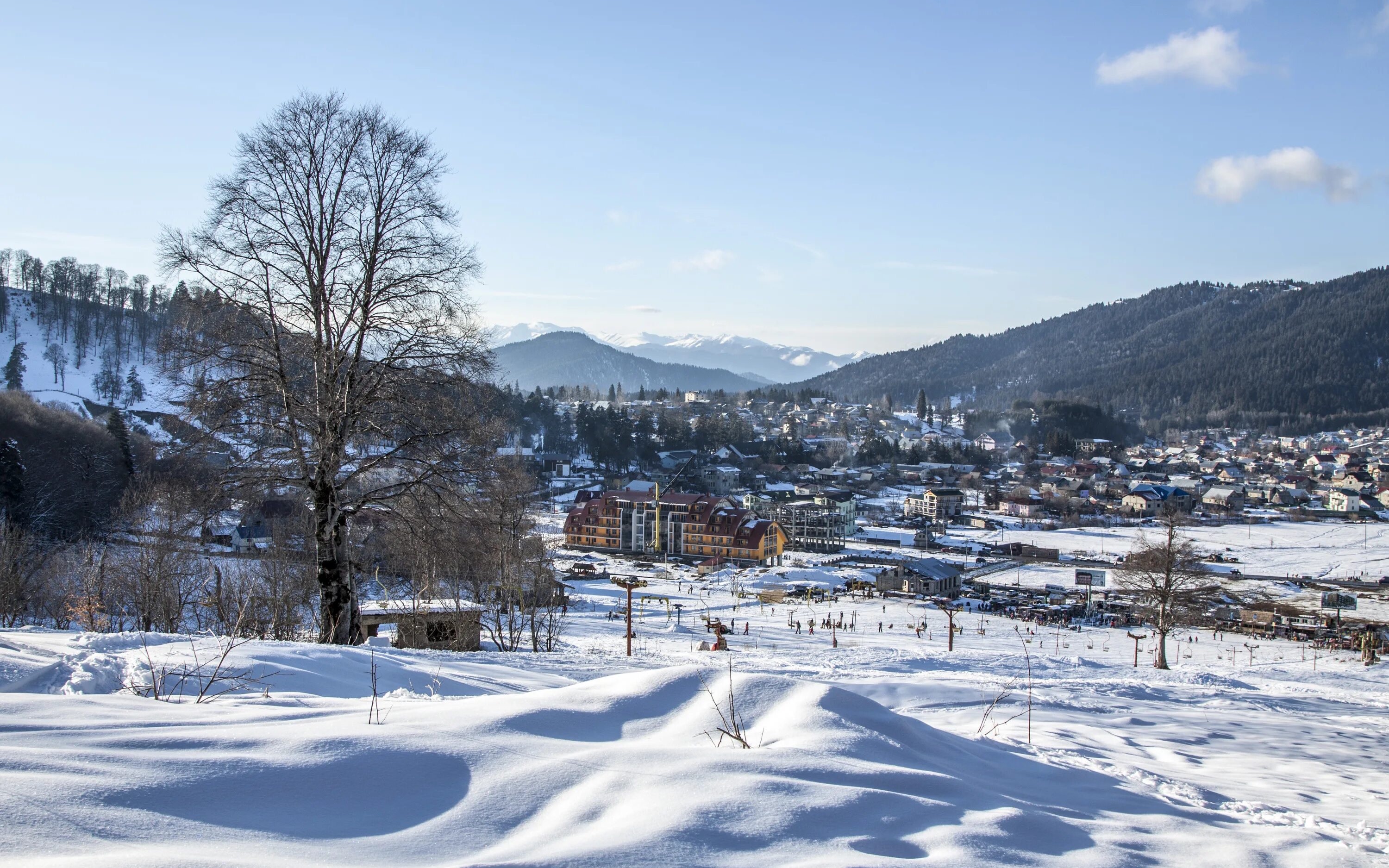 Tbilisi Bakuriani & Borjomi Full-Day Small Group Tour