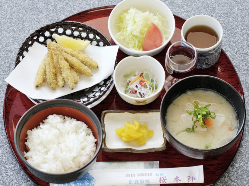 Lake Ashi Summer Festival and Fireworks Festival One-day bus tour (departing from Tokyo)