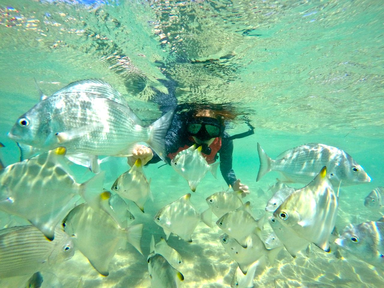黃金海岸獨木舟＆浮潛之旅