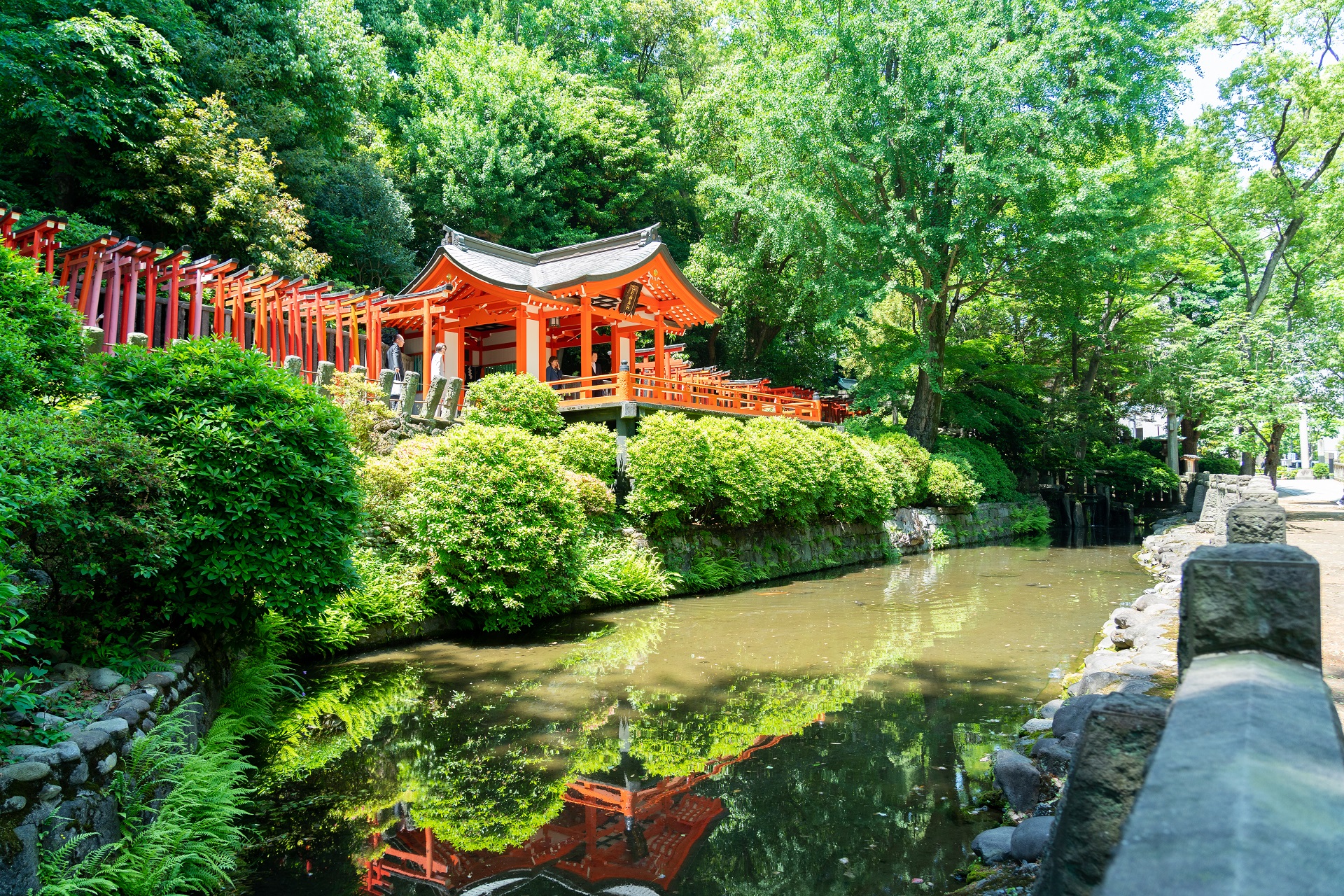 东京市区＆谷中银座＆根津神社之旅（含抹茶体验）