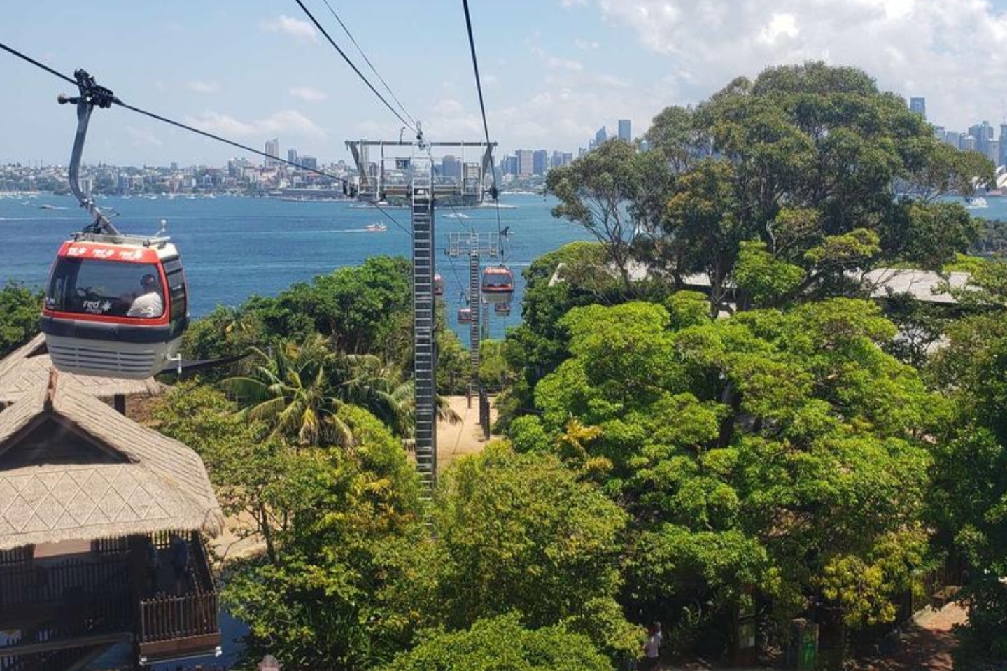 塔龍加動物園（Taronga Zoo）& 雪梨港渡輪票