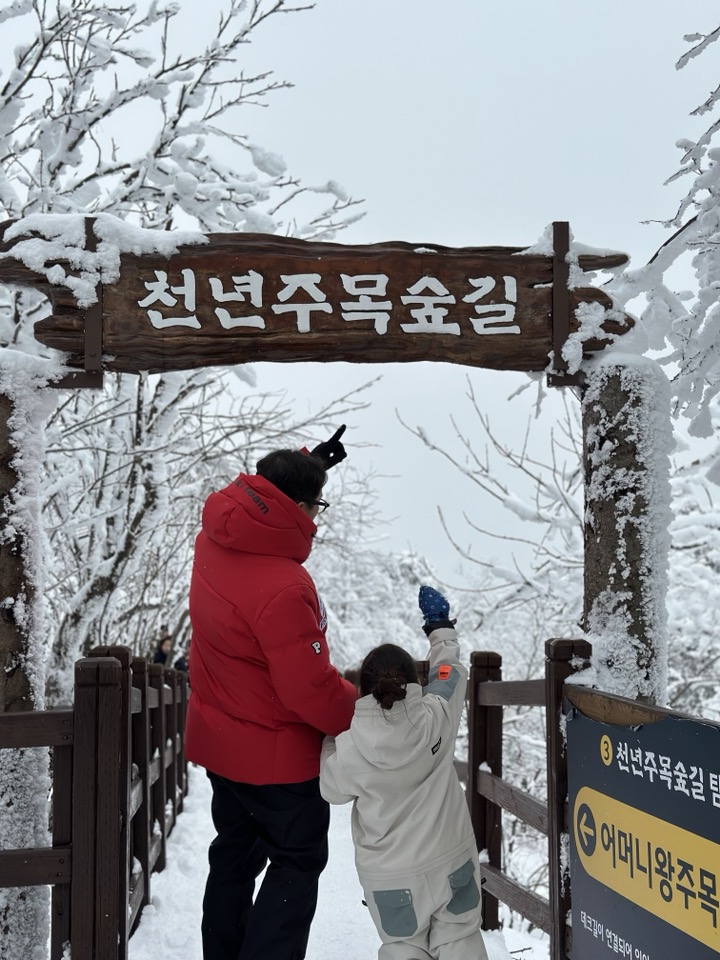 韓國冬季龍平滑雪場一日遊（首爾出發）