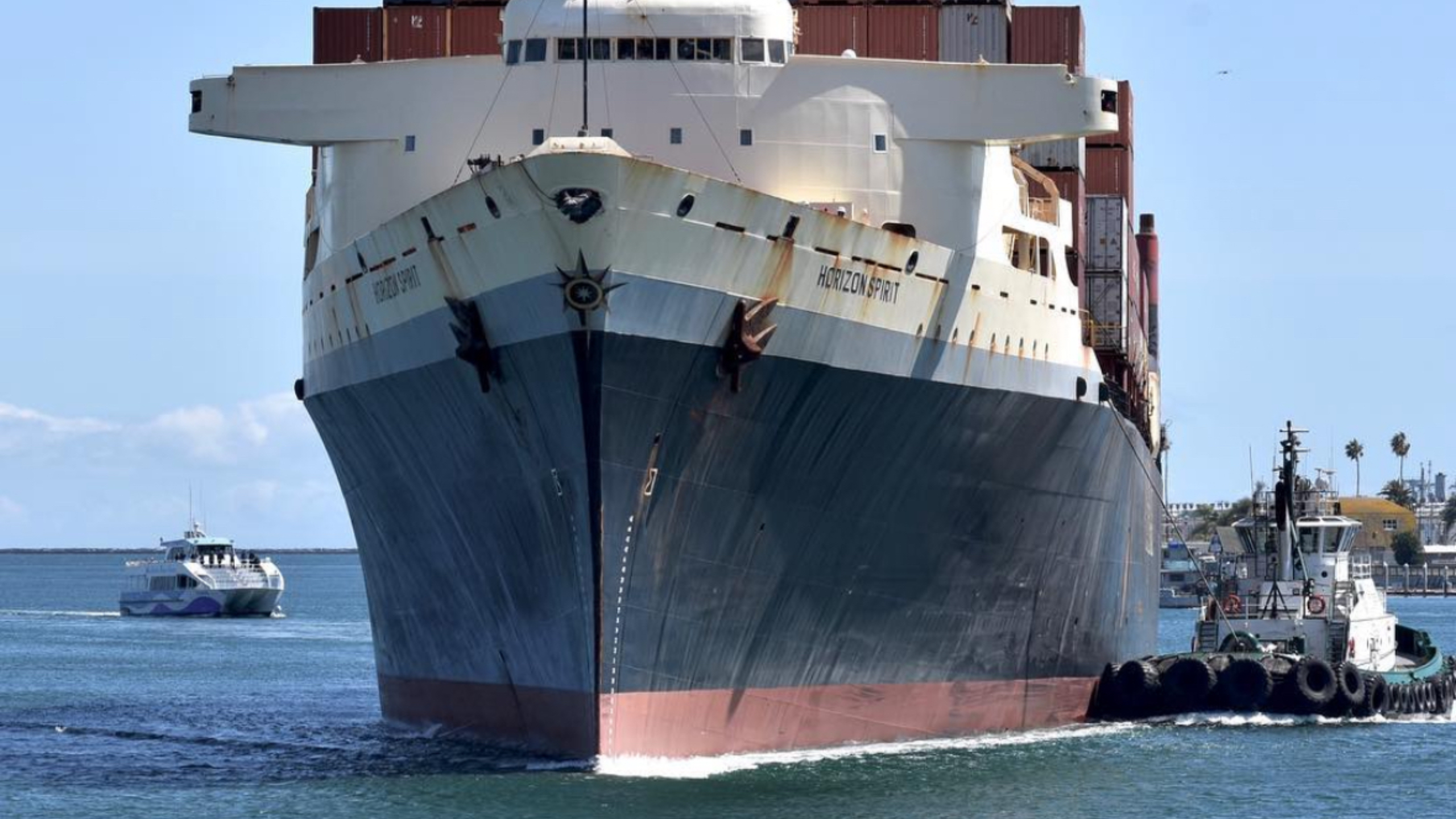 在您的專業導遊分享精彩故事的同時，觀看巨型貨船在港口滑行