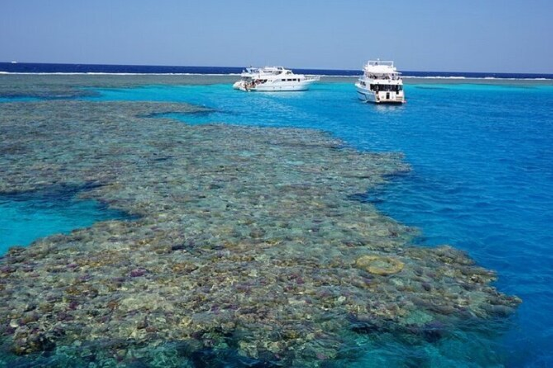 Coral Gardens Full Day Snorkeling Sea Trip & Lunch Marsa Alam