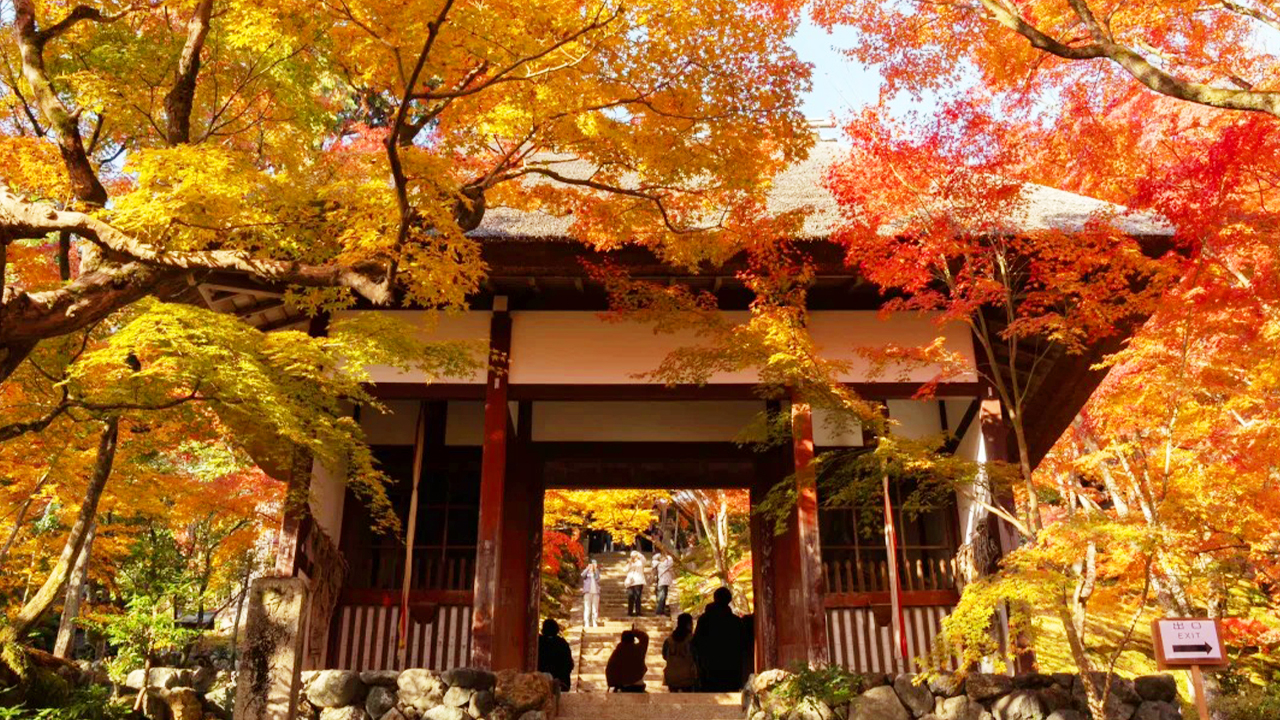 常寂光寺是位於日本京都府京都市右京區的日蓮宗寺院，山號 “小倉山”，以多寶塔和美麗的紅葉聞名。