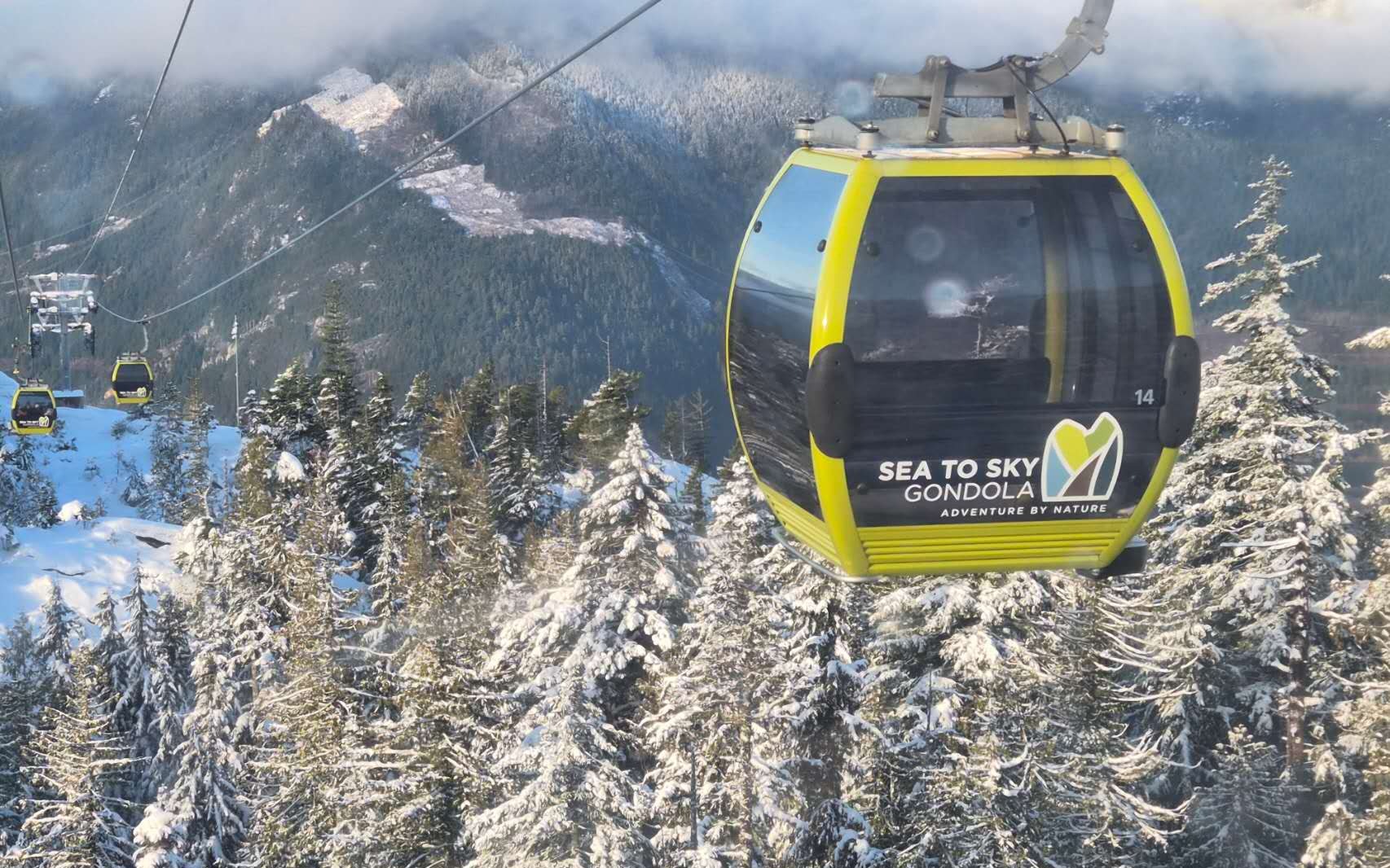 Vancouver to Whistler Nature and Mountain Highlights Tour