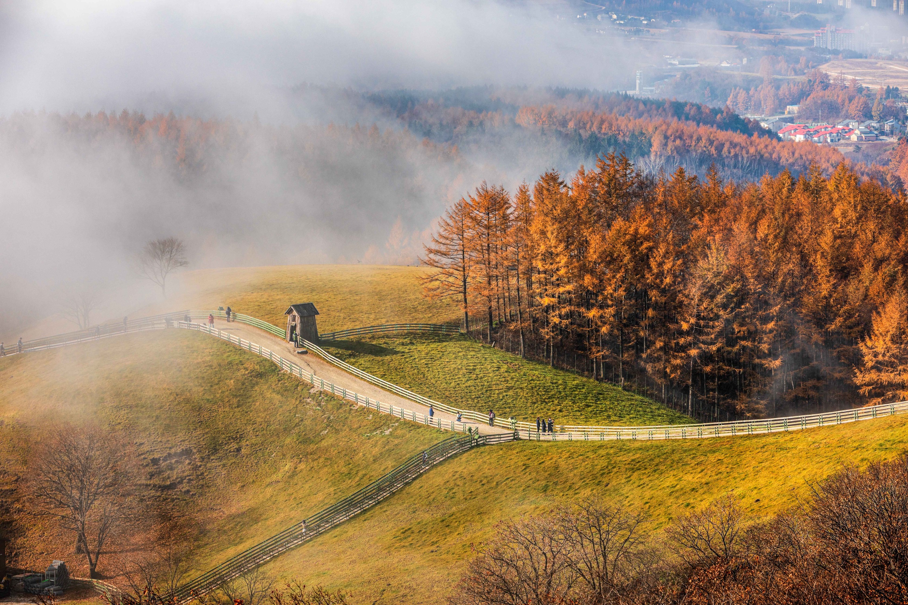Daegwallyeong Sky Ranch
All photo credits: Pyeongchang, Korea Tourism Organization