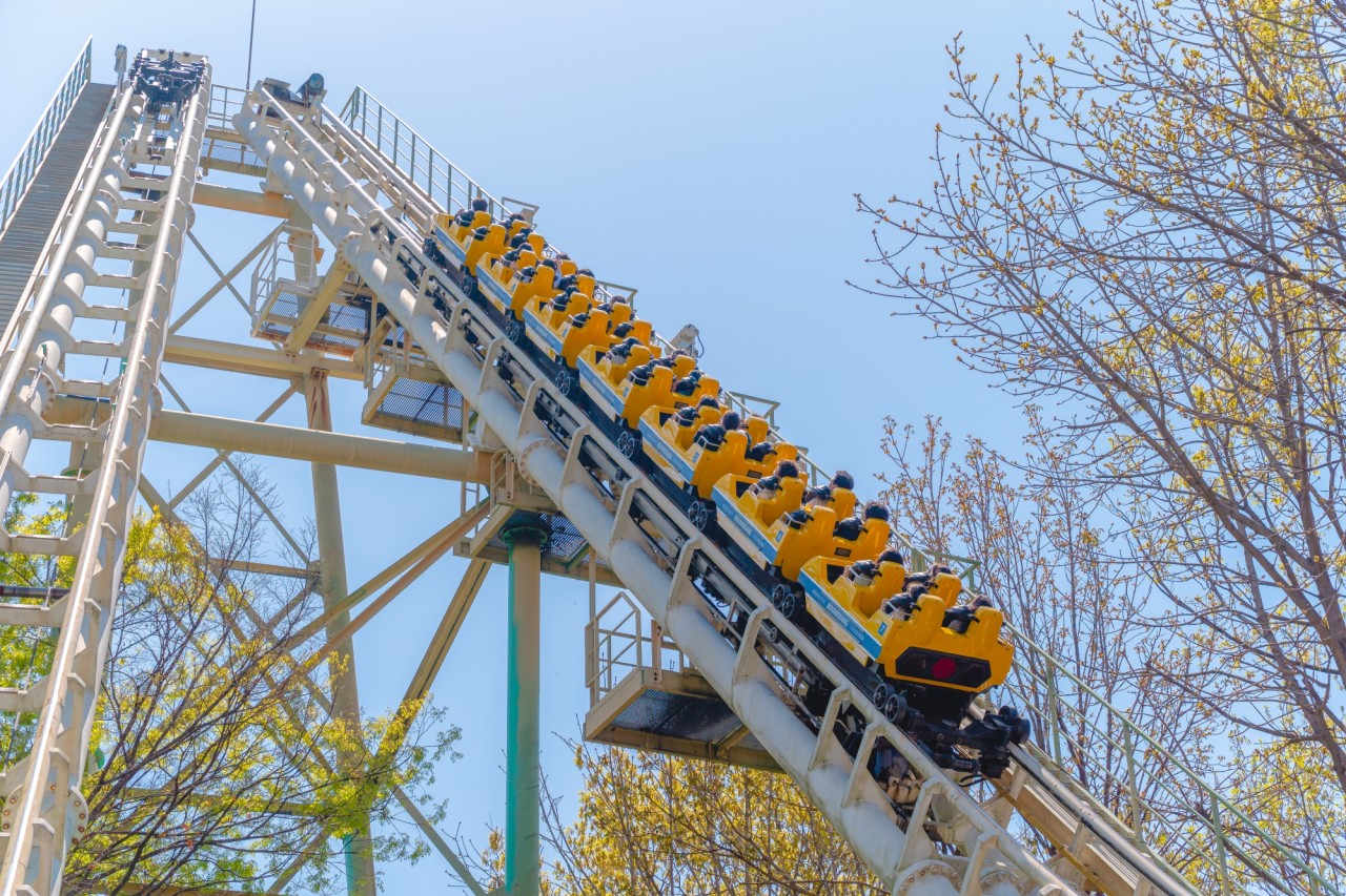 大邱E-world・大邱タワー・西門市場・八公山ケーブルカー・樹木園 日帰りツアー