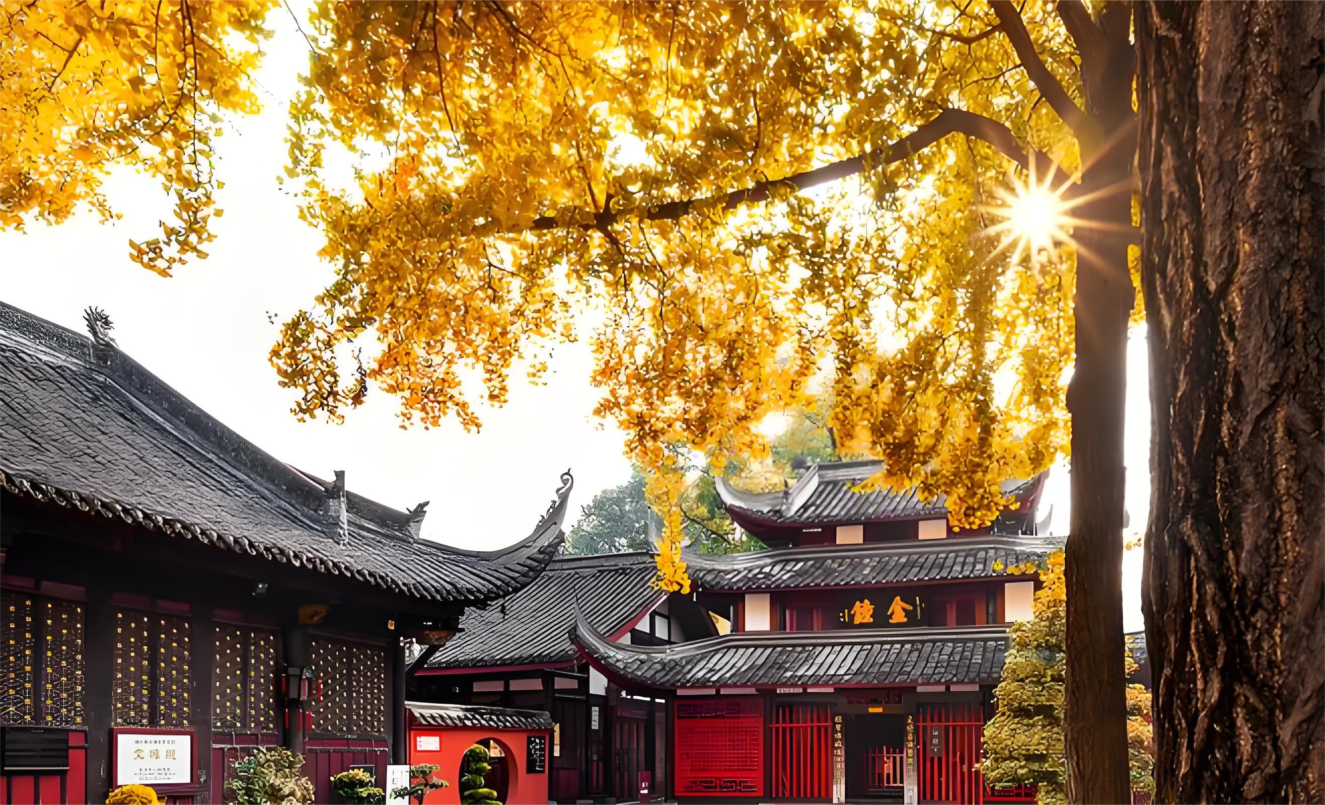 成都私人導覽半日遊 文殊院 杜甫草堂