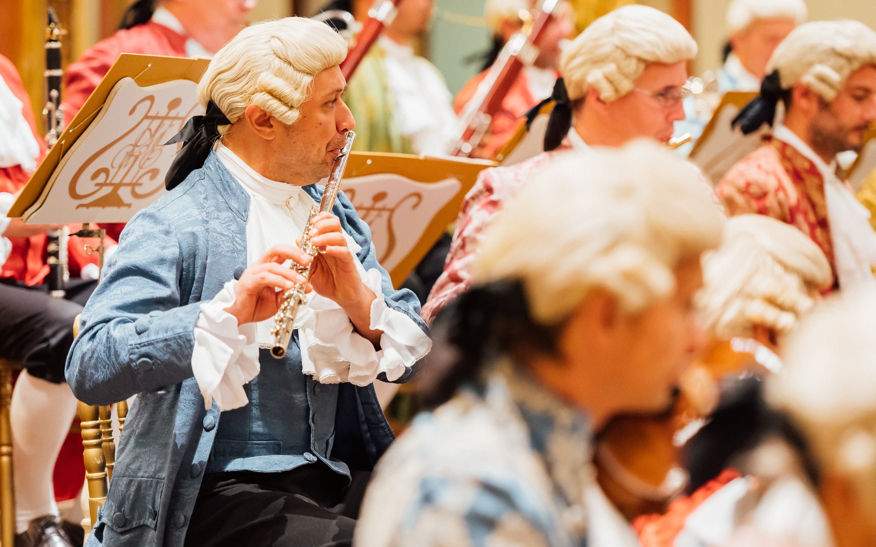 Mozart Concert and Austrian Delights Dinner in Vienna