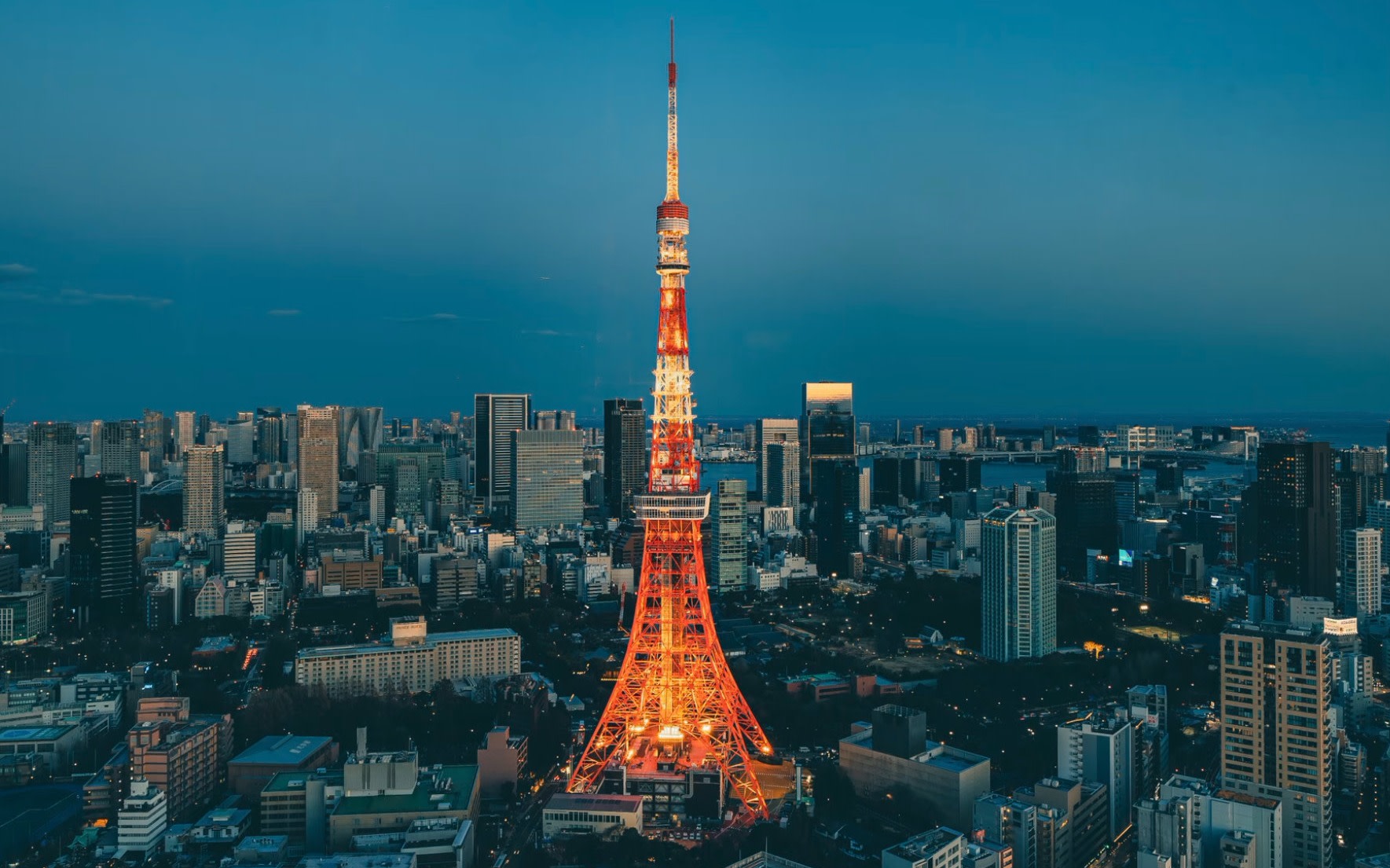 Private small group tour of Tokyo for a day