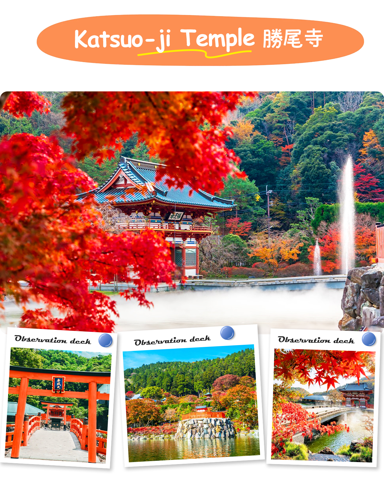 大阪·京都古城風情｜勝尾寺·美山茅葺之裡·嵐山一日遊｜大阪出發