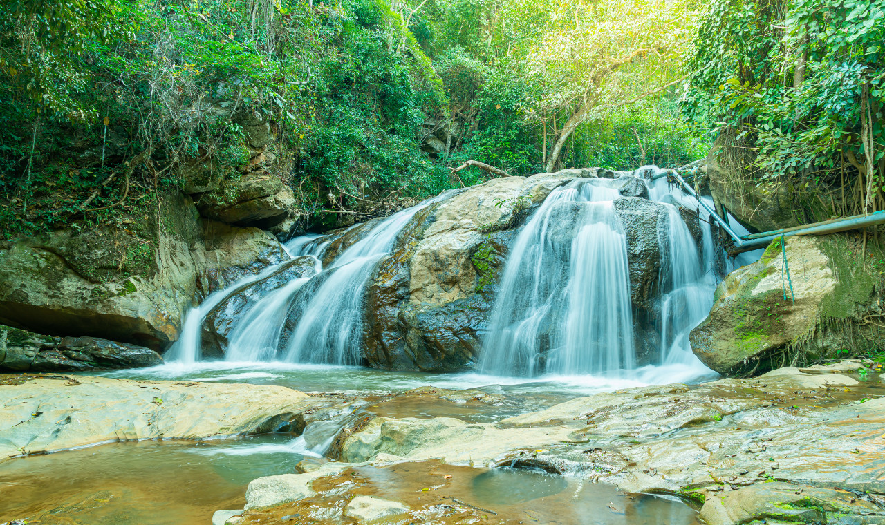 Full-day private car rental with driver in Chiang Mai