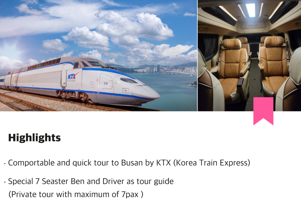 KTX One Day Private Busan City Tour From Seoul