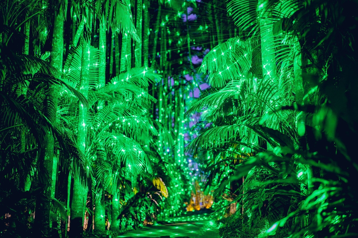 [植物園區] 熱帶植物園生態照明熱帶生態燈
