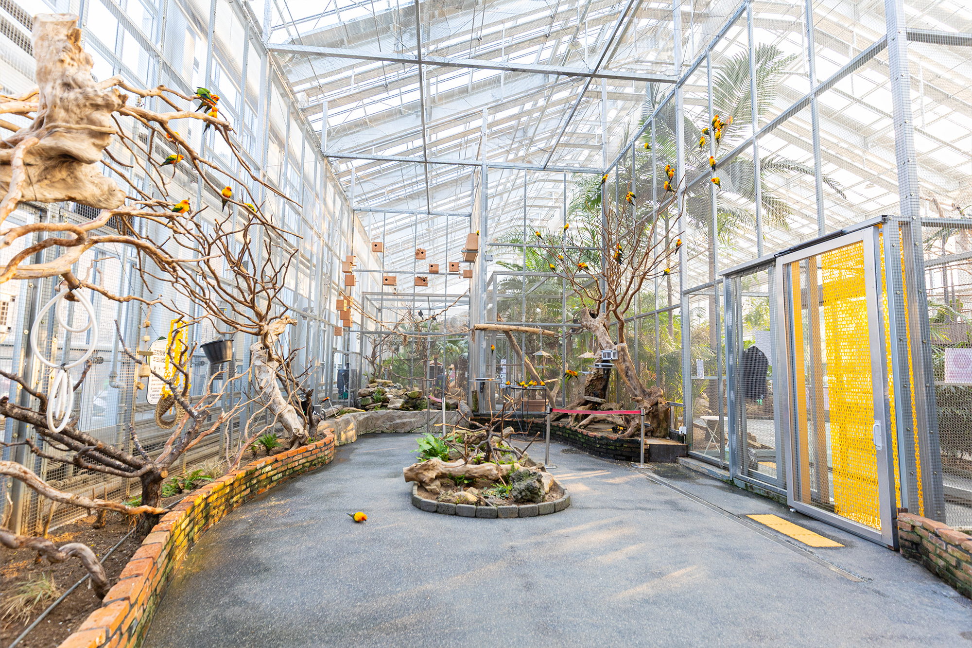 在花壇間駐足拍照，再仔細瞧瞧，發掘各種形狀與色彩，感受花園每個角落獨特的魅力。