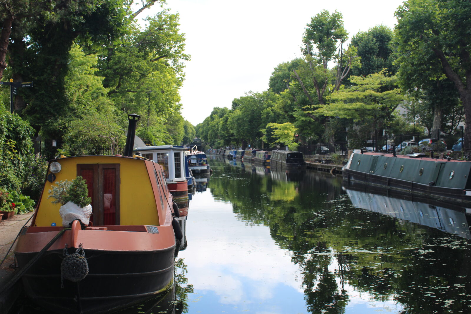 Paddington Walking Tour